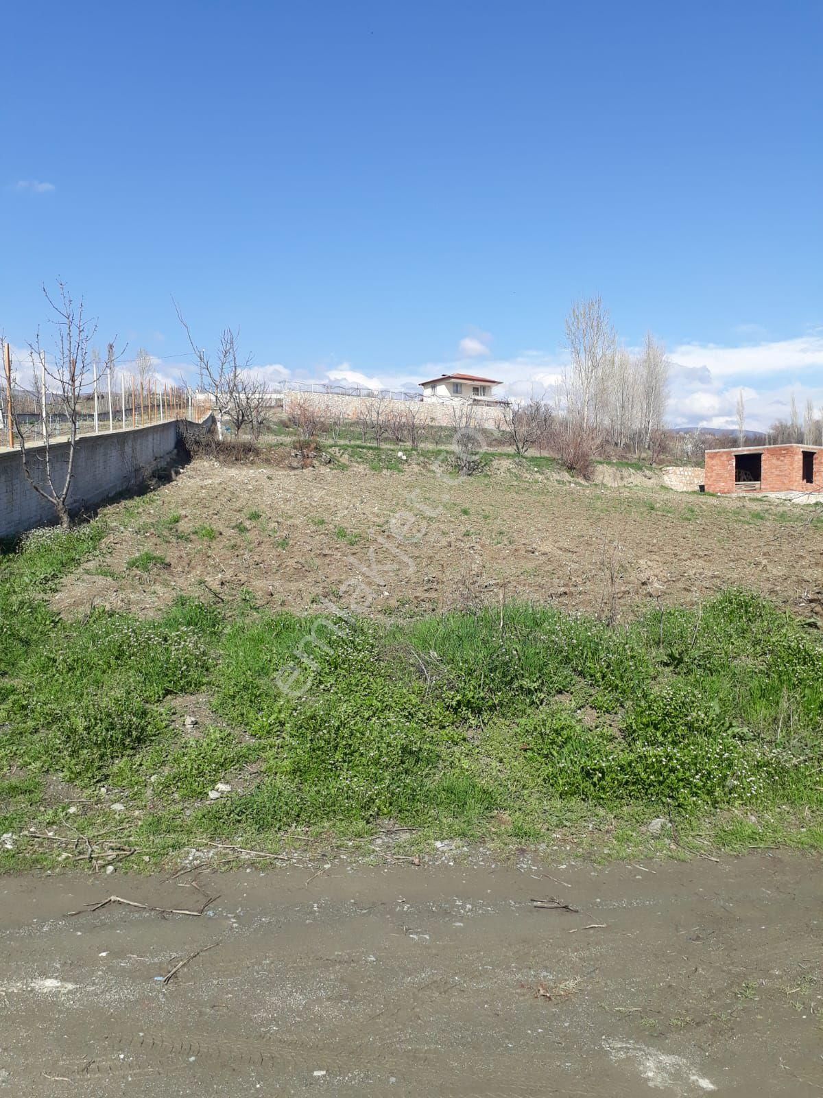 Tokat Merkez Emirseyit Bld. (Bahçelievler) Satılık Tarla Tokat merkez Emirseyit köyünde satlik tarla