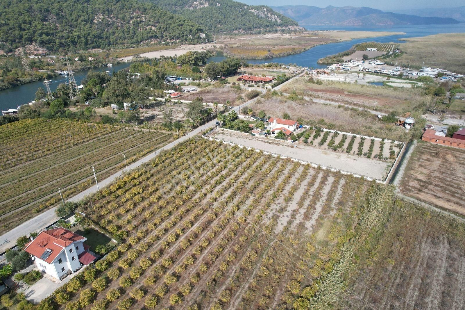 Ortaca Dalyan Satılık Konut İmarlı Muğla Dalyanda Kanala 2,ci Parsel Müstakil 5.000 M2, 250 M2 İnşaat Hakkı Olan Arazi Satılık