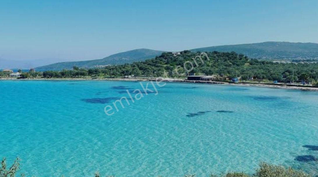 Dikili Salihler Satılık Arazi Dikili Ayvalık Anayola Sıfır Arazi