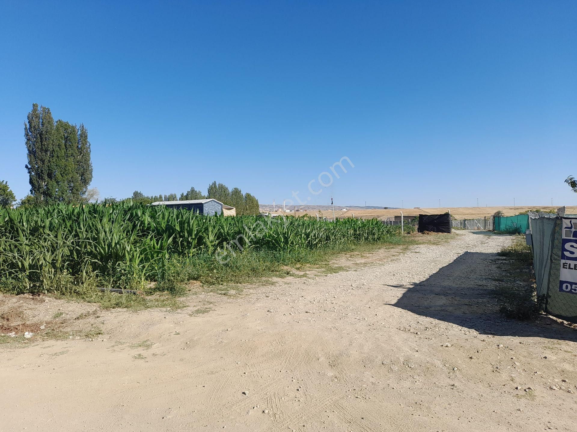 Satlık Hobi Bahçesi Konparatif Hisseli - Görsel 7