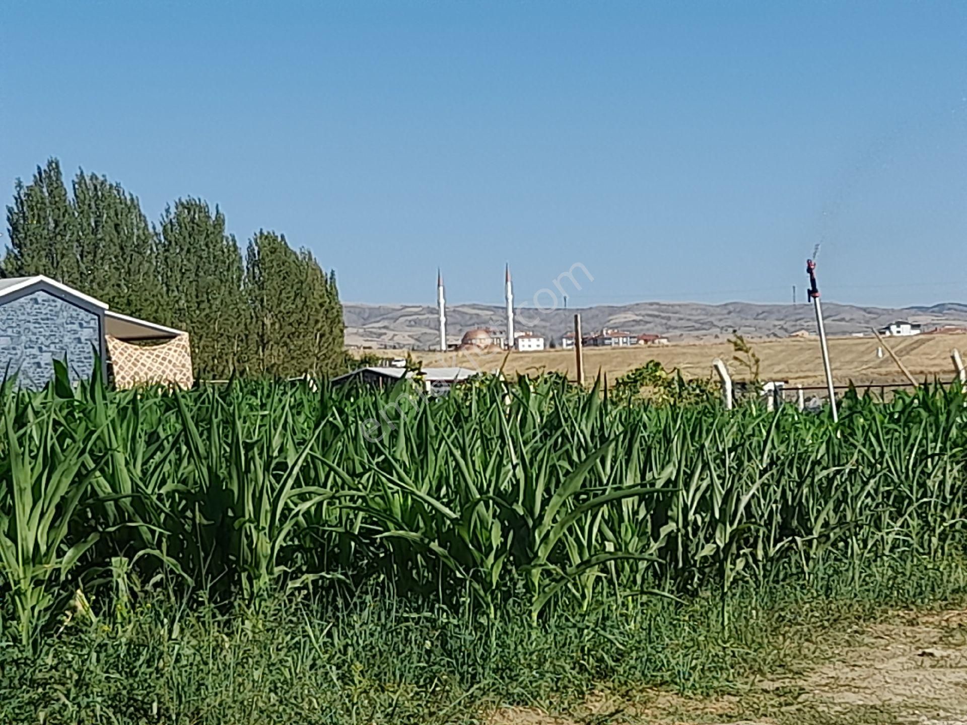 Satlık Hobi Bahçesi Konparatif Hisseli - Görsel 6