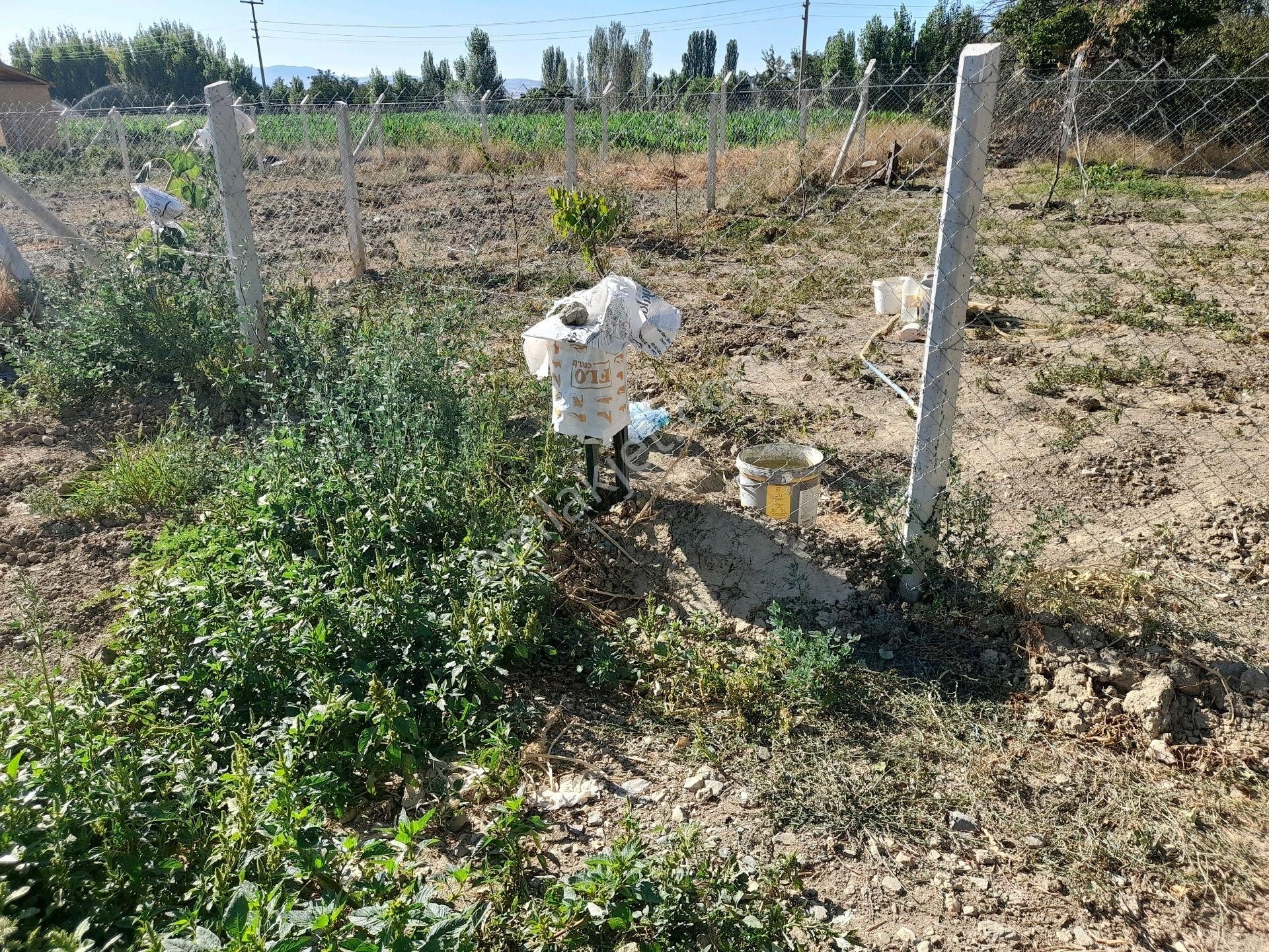 Satlık Hobi Bahçesi Konparatif Hisseli - Görsel 3