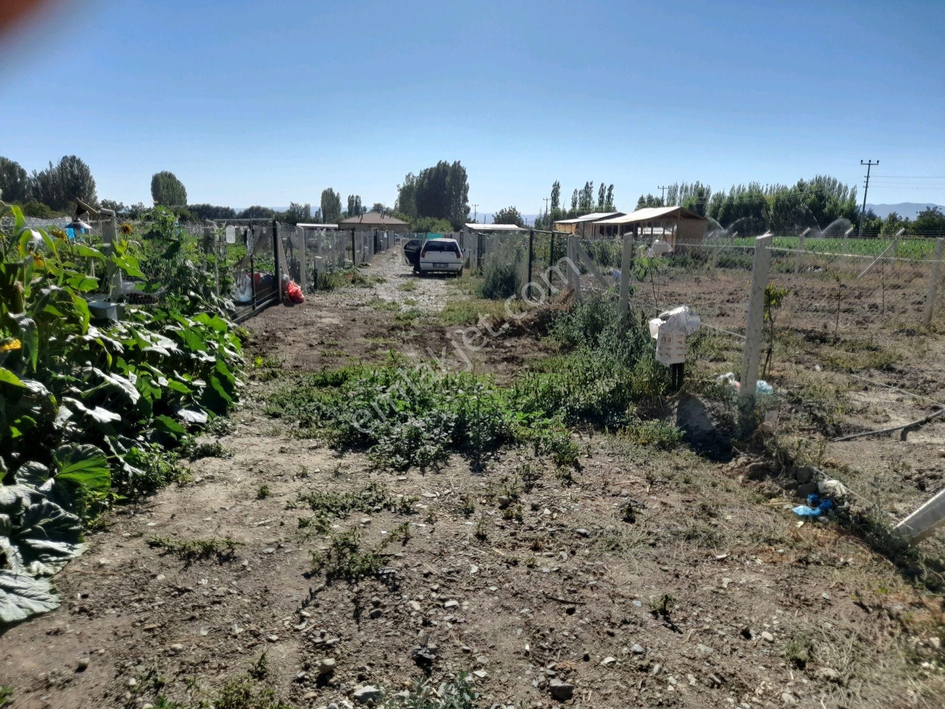 Satlık Hobi Bahçesi Konparatif Hisseli - Görsel 5