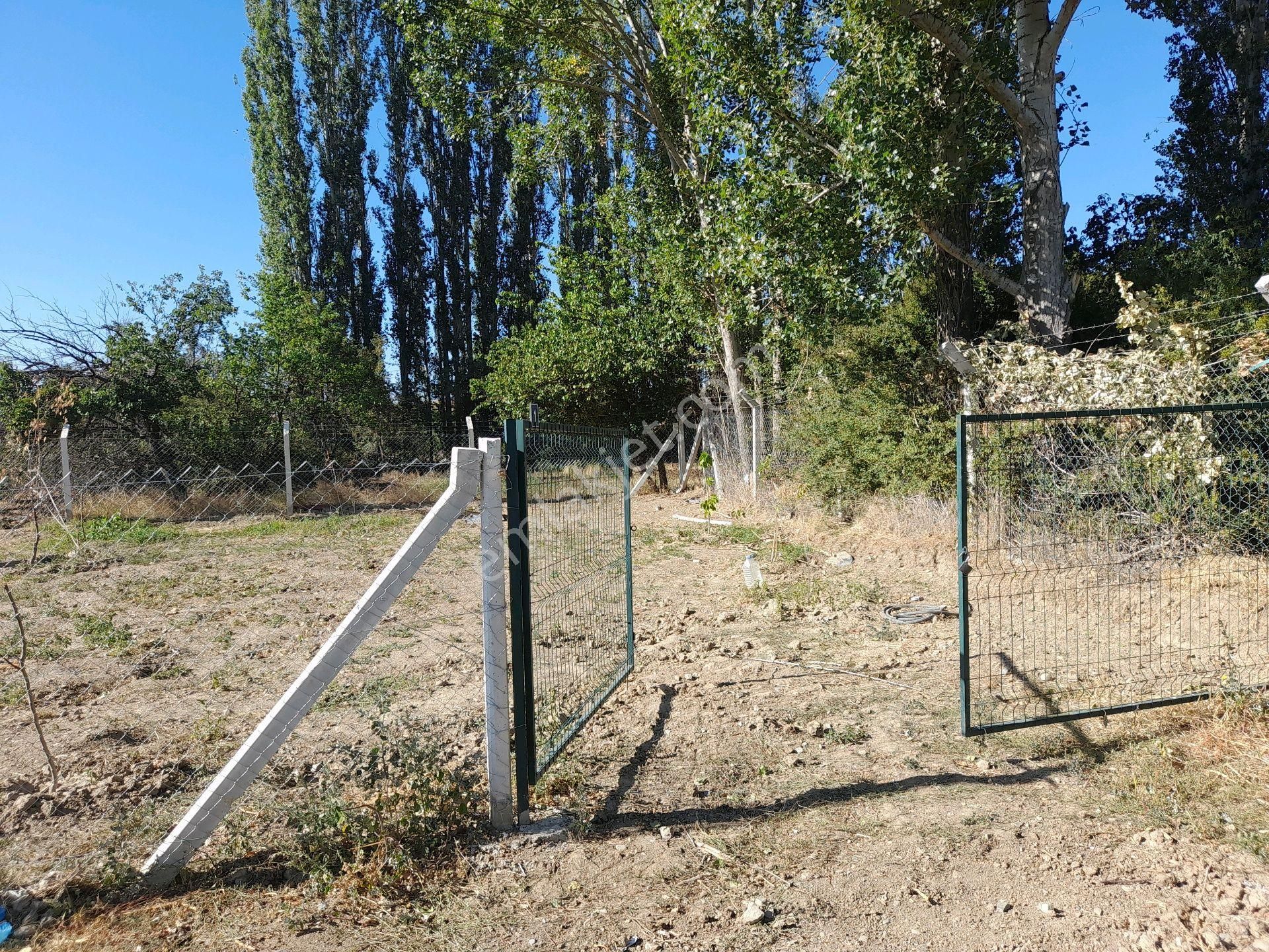 Satlık Hobi Bahçesi Konparatif Hisseli - Görsel 4