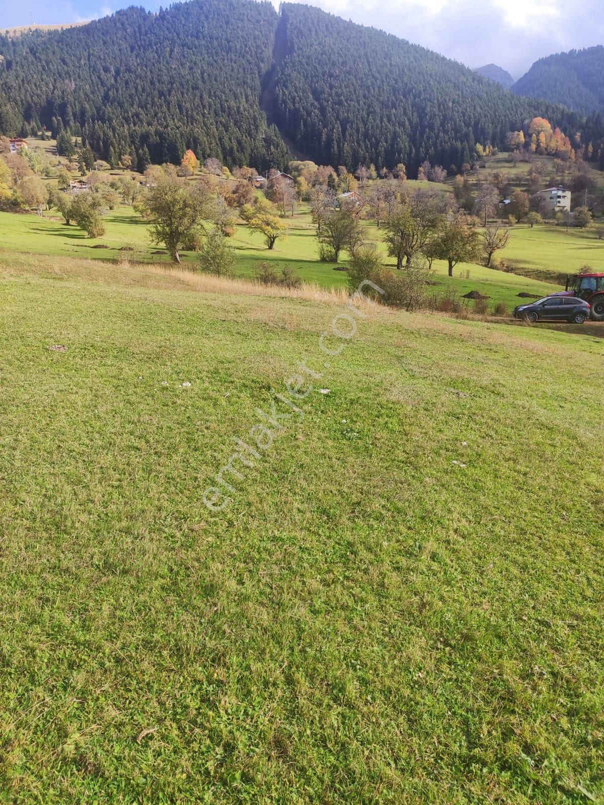 Şavşat Yavuzköy Köyü (Balcılar) Satılık Tarla Artvin Şavşat Yavuzköy Satılık Arsa