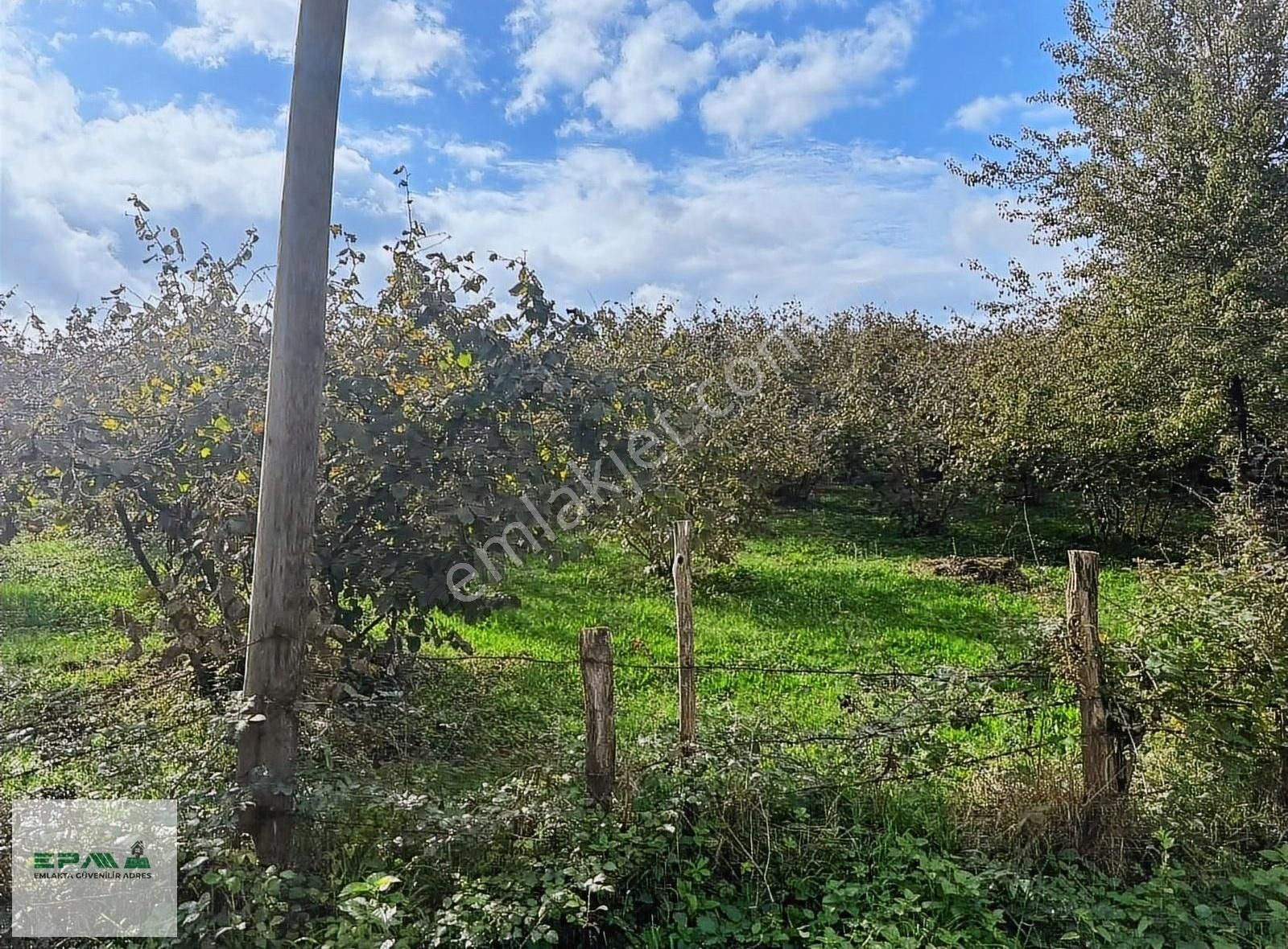 Akyazı Kuzuluk Ortamahalle Satılık Tarla Epa Tekbir Gayrimenkul Den Kuzuluk Ta 1500 M İmarlı Arsa