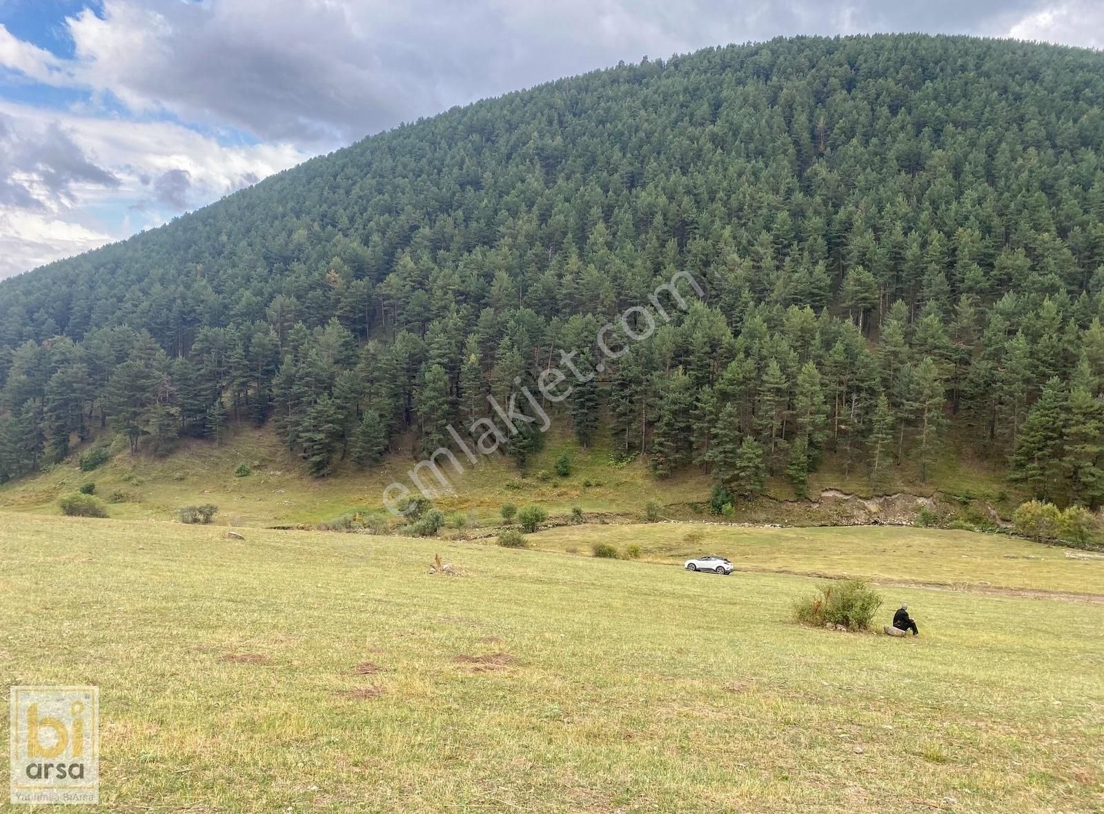 Sarıkamış Şehitler Satılık Sit Alanı 10.397m² Tamamı Bu Fiyata!yolu Var! İlçe Merkezine Sadece 4km!