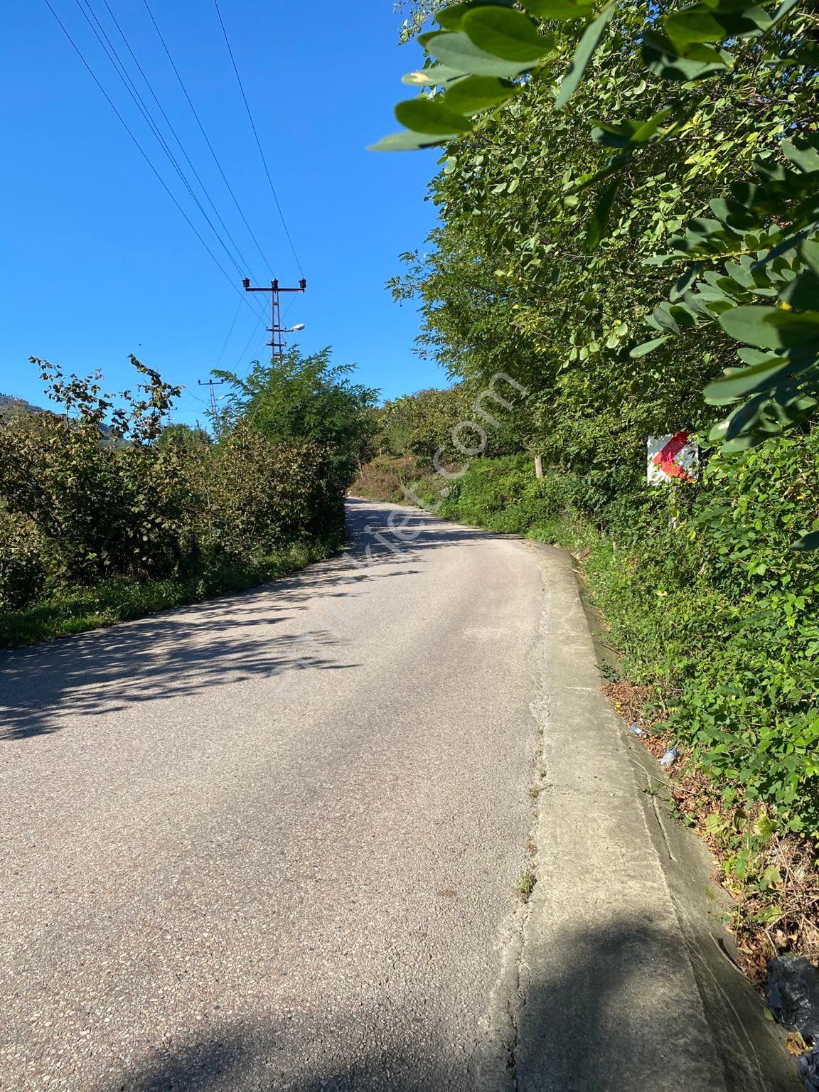 Bucak Mah Yol Kenarı Satılık 3007 M2 Bahçe - Görsel 2