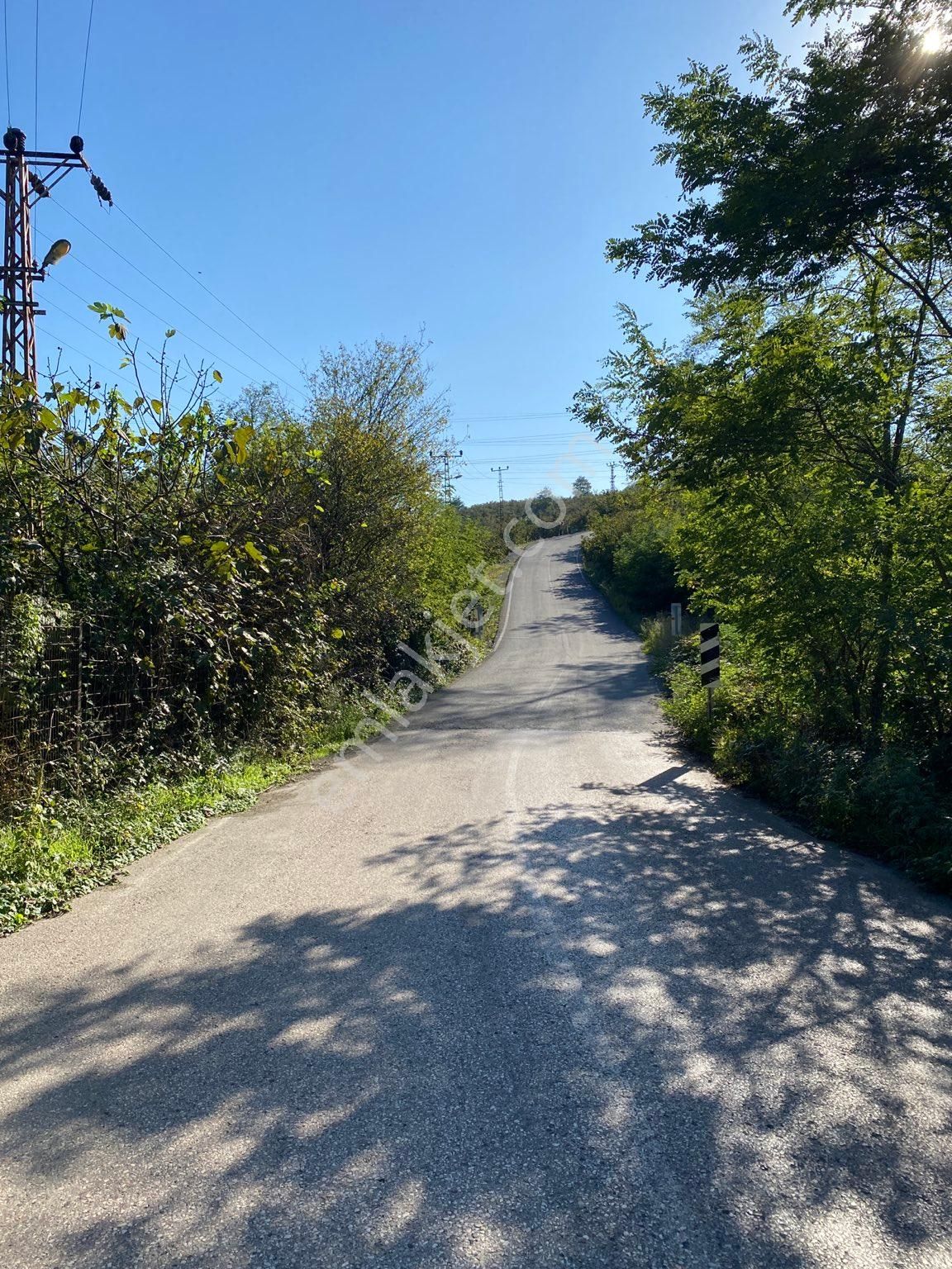 Bucak Mah Yol Kenarı Satılık 3007 M2 Bahçe - Görsel 4