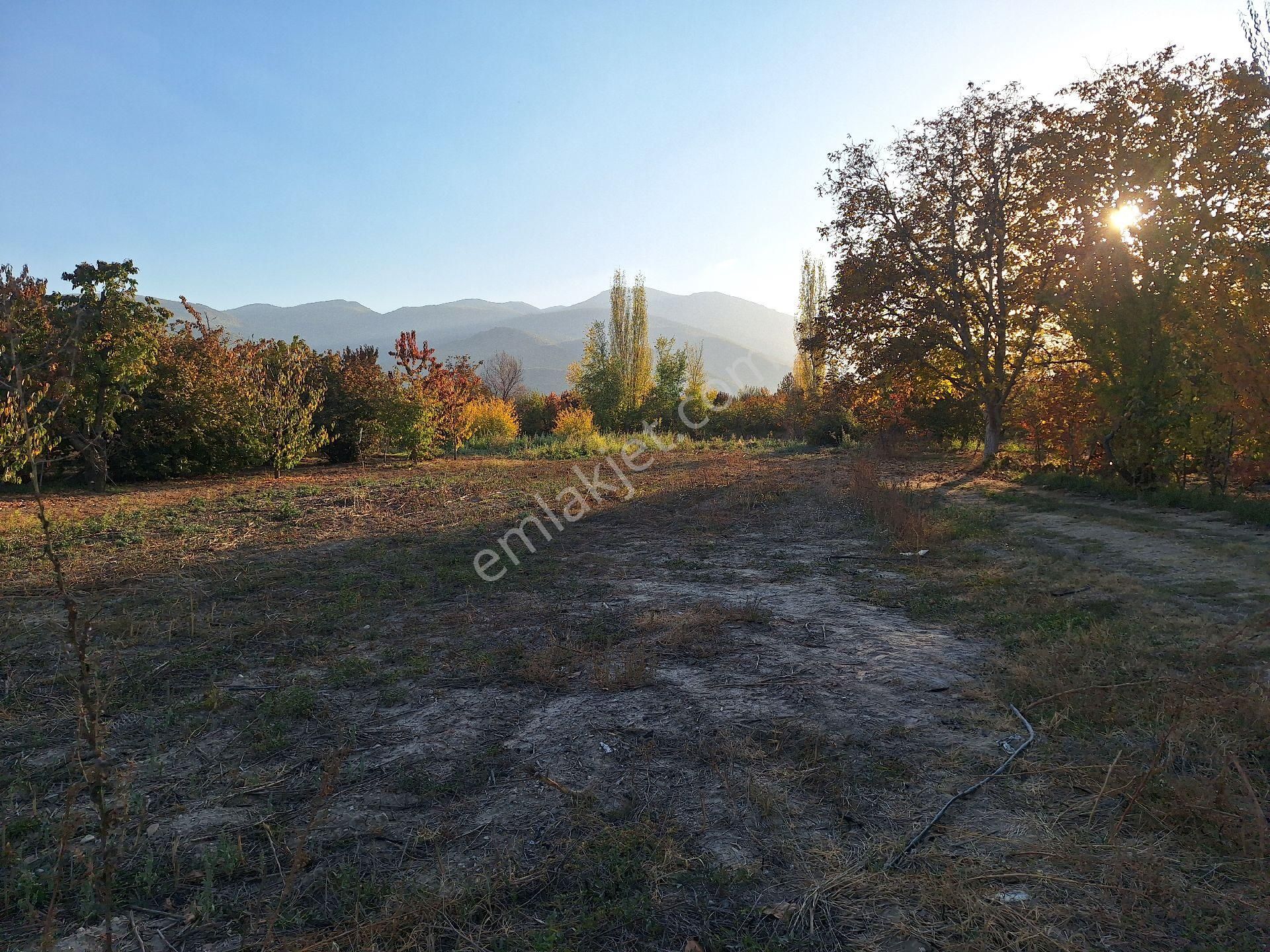 Daglı Emlaktan Atakent Mahallesinde - Görsel 6