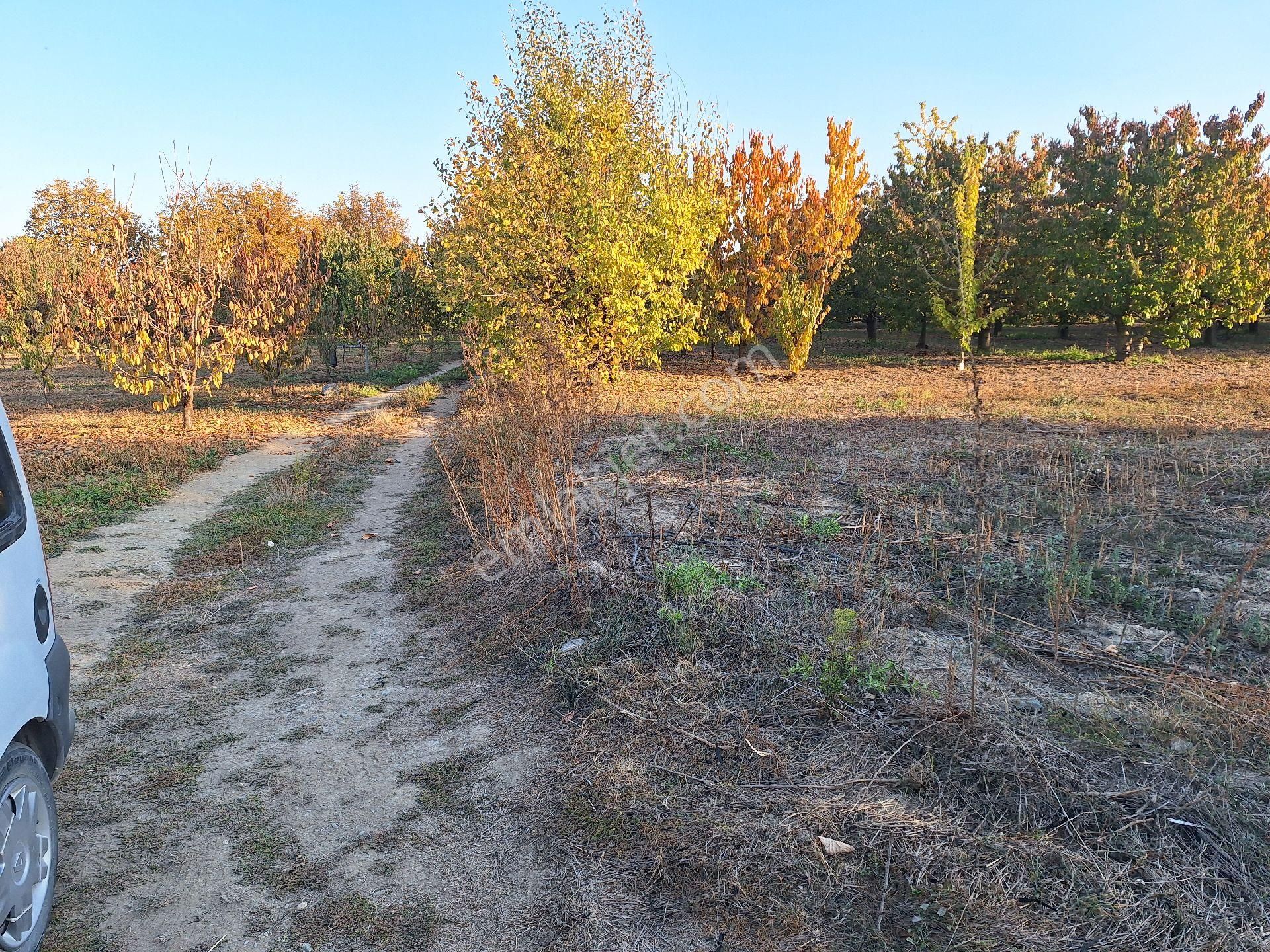 Daglı Emlaktan Atakent Mahallesinde - Görsel 9