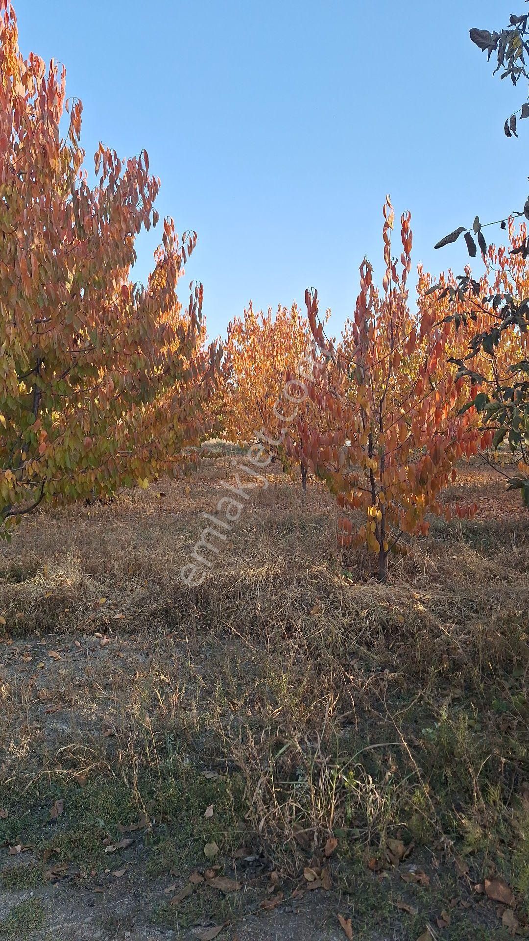 Daglı Emlaktan Atakent Mahallesinde - Görsel 10