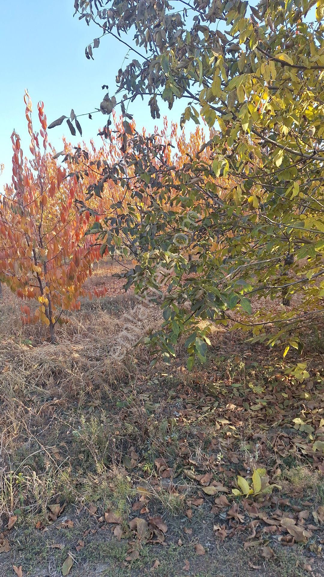 Daglı Emlaktan Atakent Mahallesinde - Görsel 11