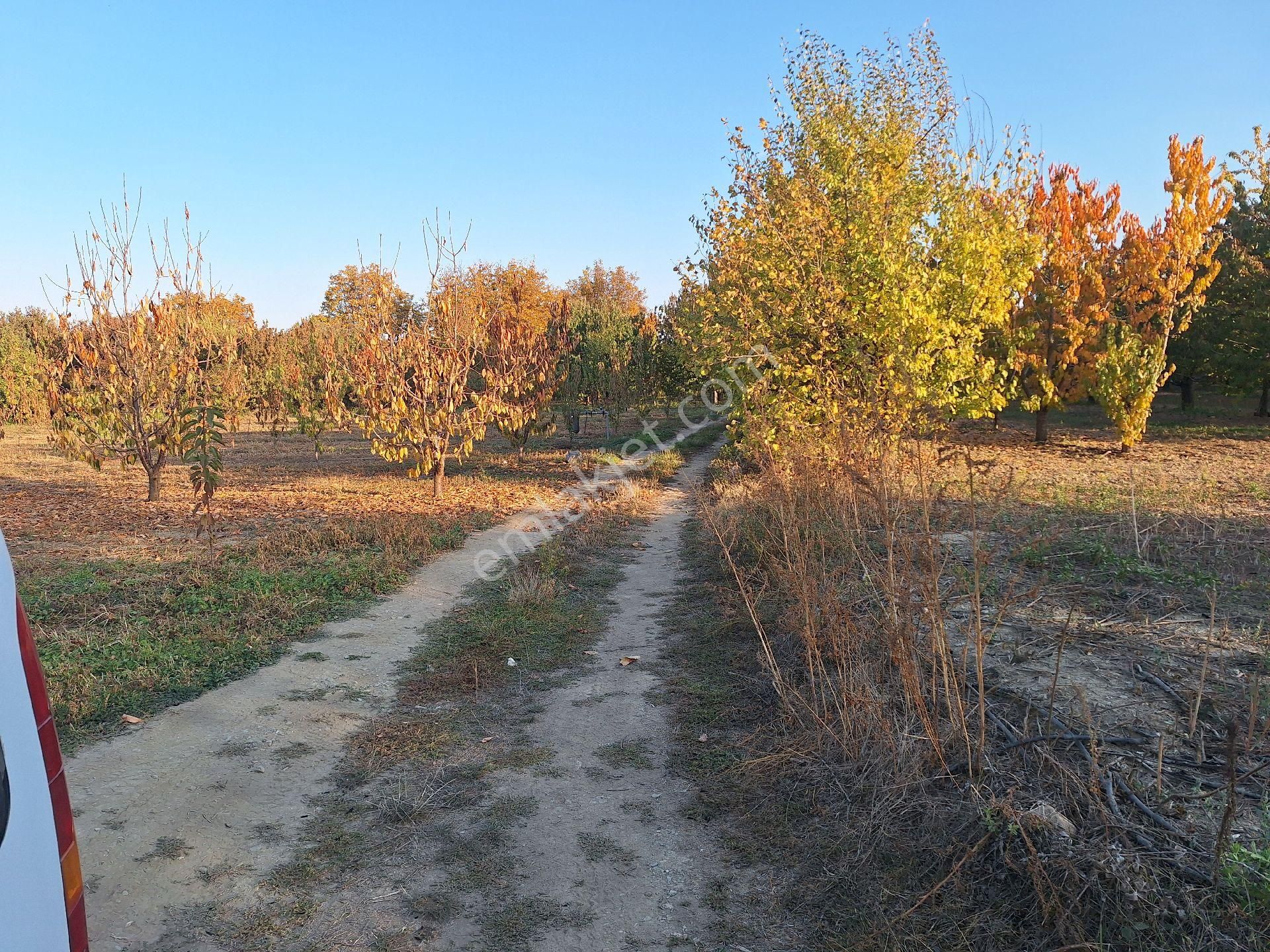 Daglı Emlaktan Atakent Mahallesinde - Görsel 8