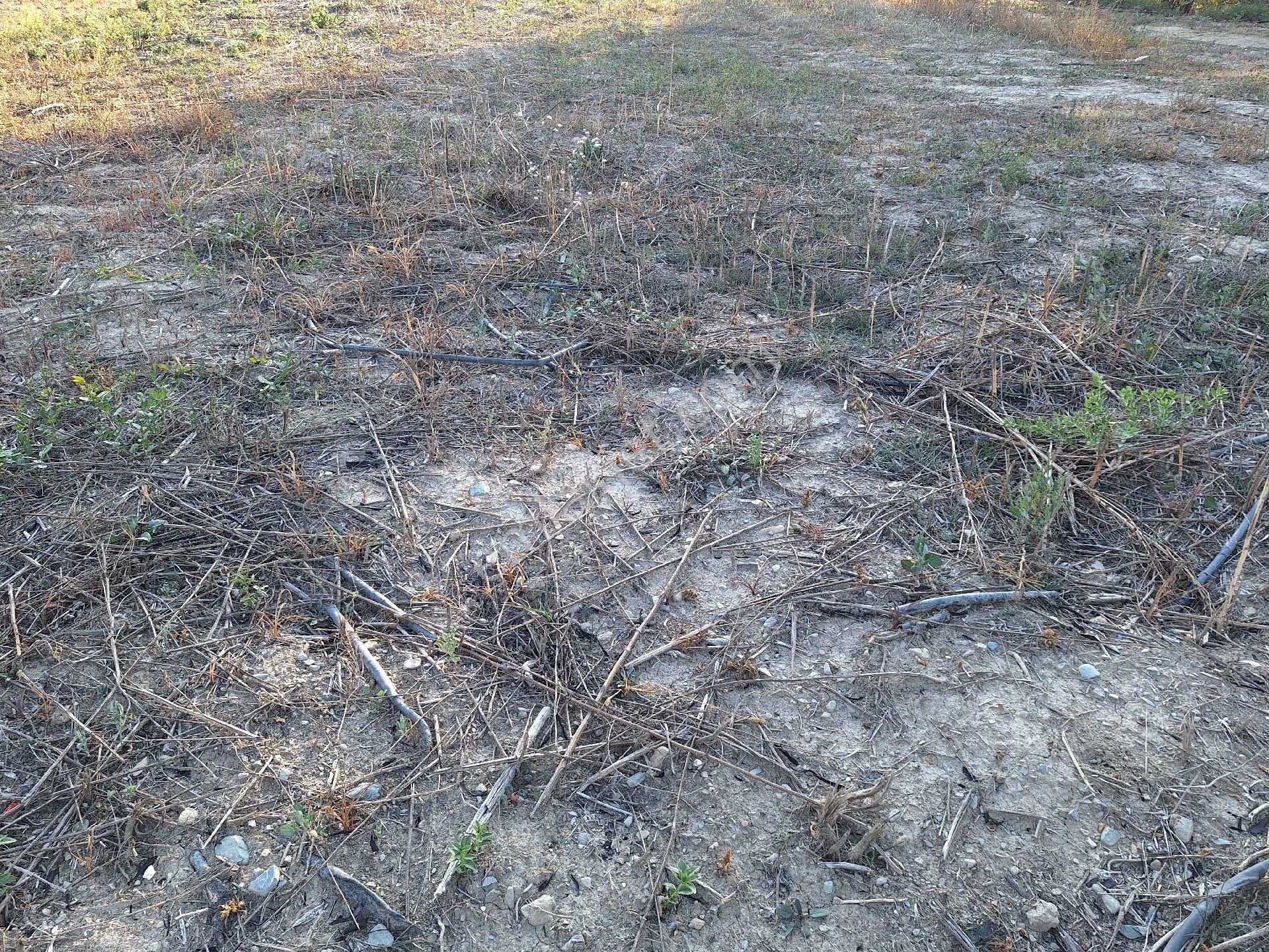 Daglı Emlaktan Atakent Mahallesinde - Görsel 3