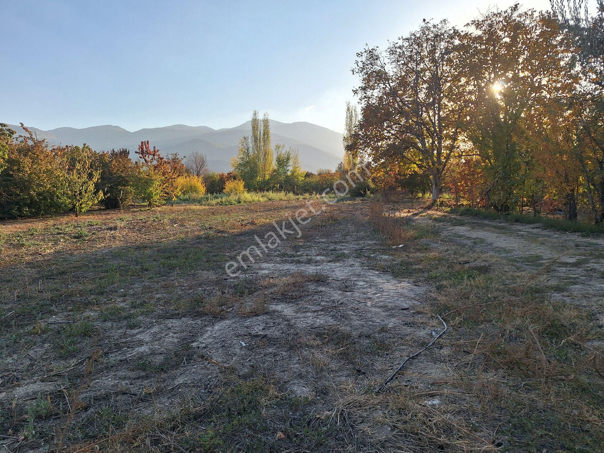 Daglı Emlaktan Atakent Mahallesinde - Görsel 7