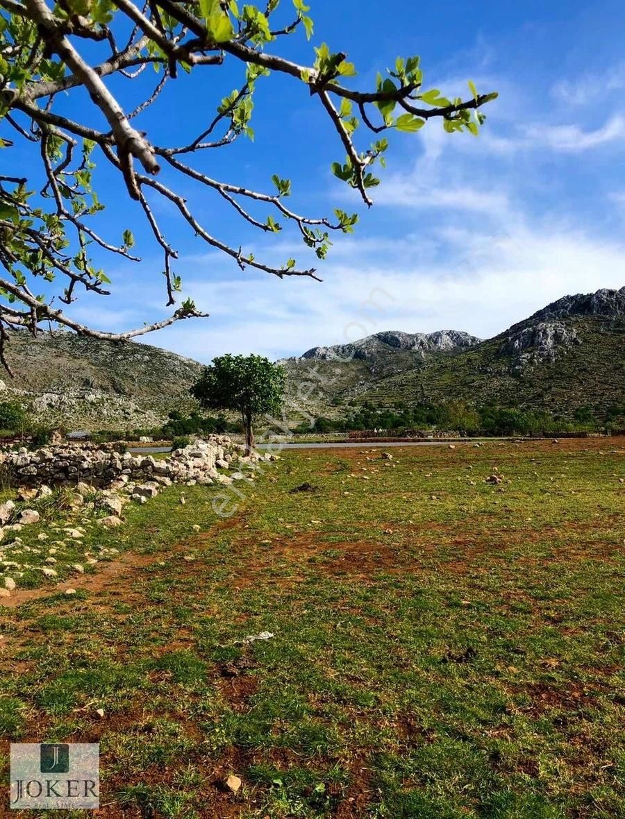 Marmaris Taşlıca Satılık Tarla Joker: Taşlıca'da Tiny House İçin Uygun Köye Yakın Tarla