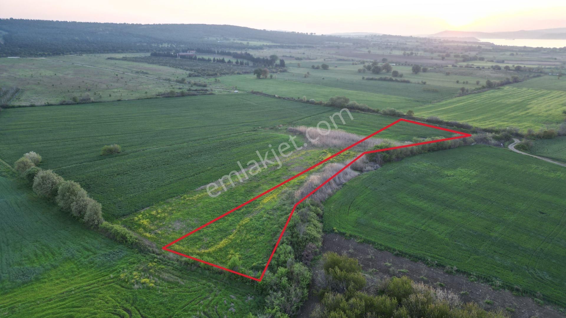 Çanakkale Merkez Karacaören De Satılık Tarla