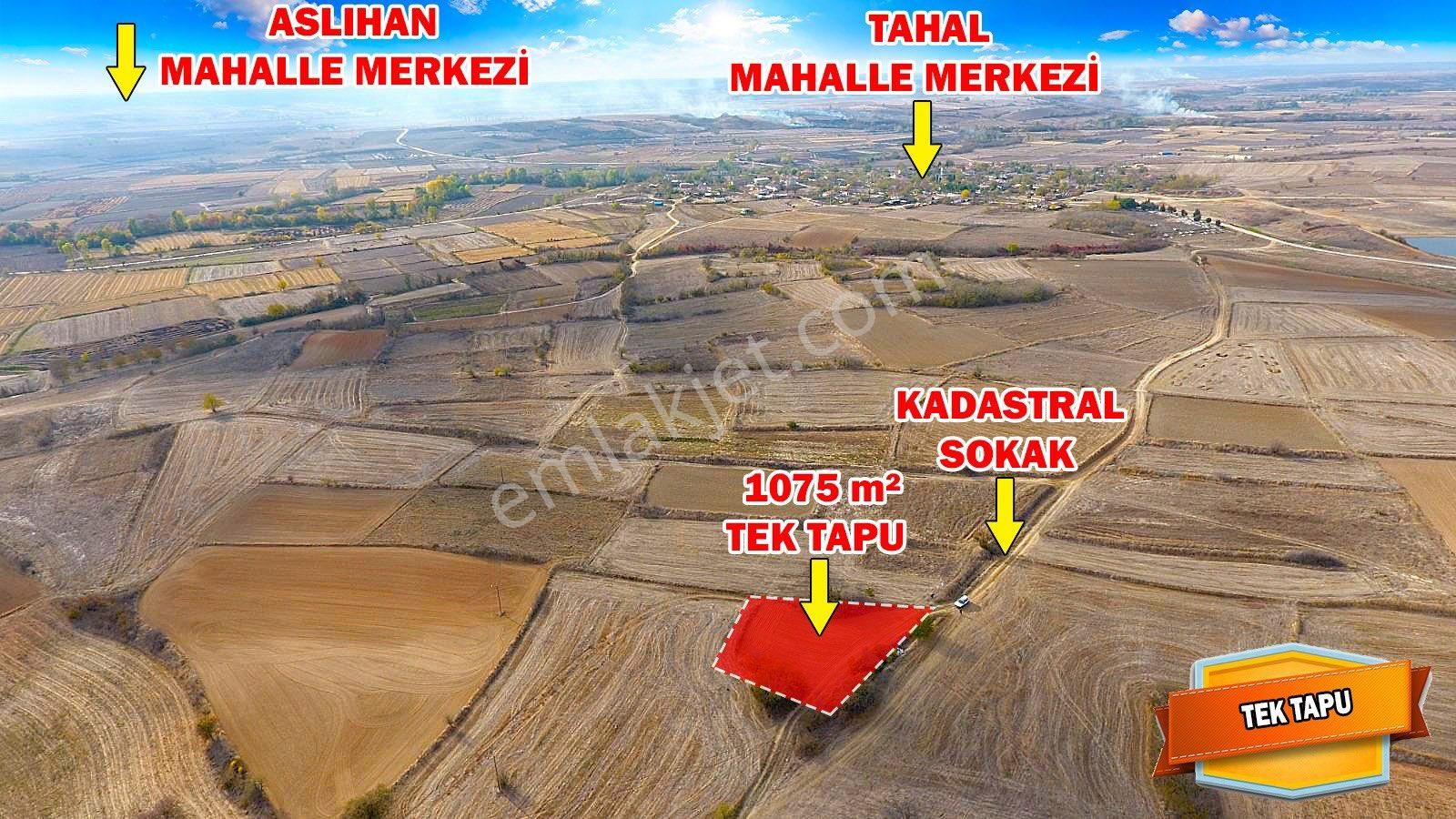 Havsa Tahal Köyü Satılık Tarla Edirne Havsa Tahal'da Yola Cephe Tek Tapu 1.075 M2 Satılık Tarla