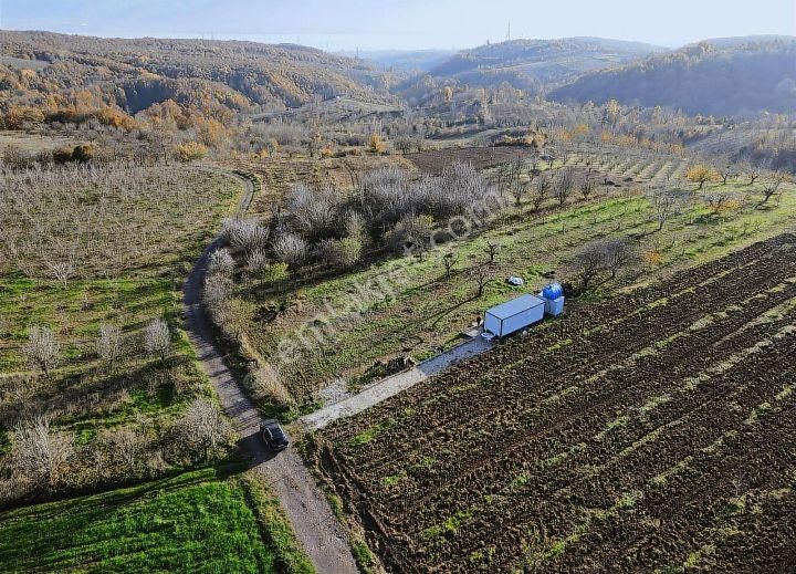 Kartepe Havluburun Satılık Tarla Kartepe Avluburun Mevkiinde 6911 M2 %5 İmarlı Satılık Bahçe Tarla