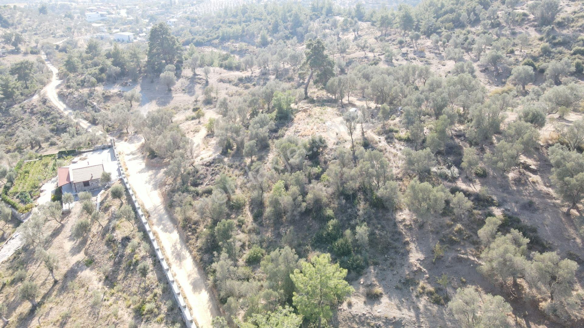 Orhanlı'da Satılık Tek Tapu 3.725 M2 Manzaralı Elektrik Suyu Olan Bahçe - Görsel 3