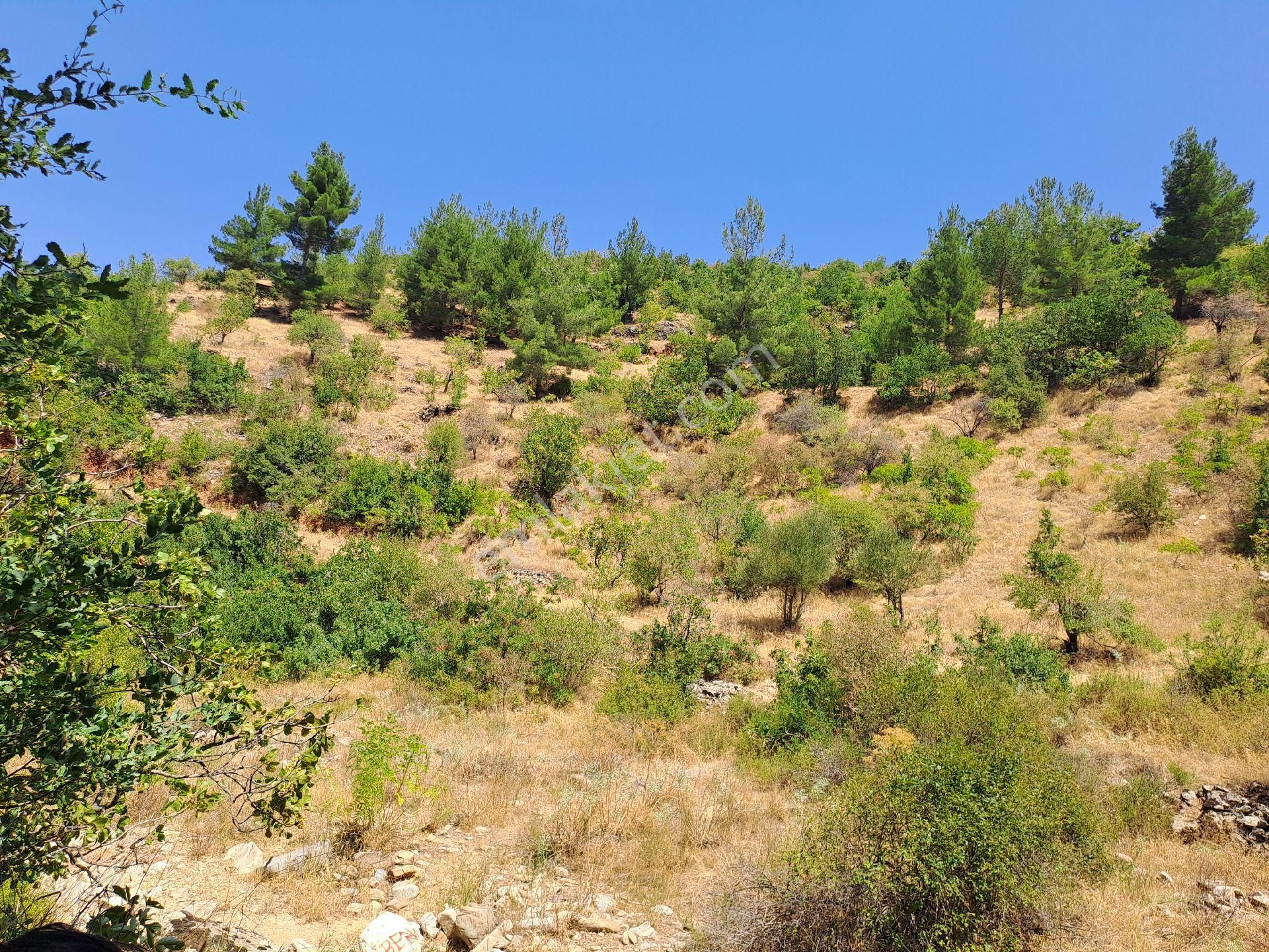 Onikişubat Fatmalı Satılık Bağ & Bahçe yatırımlık arsa 