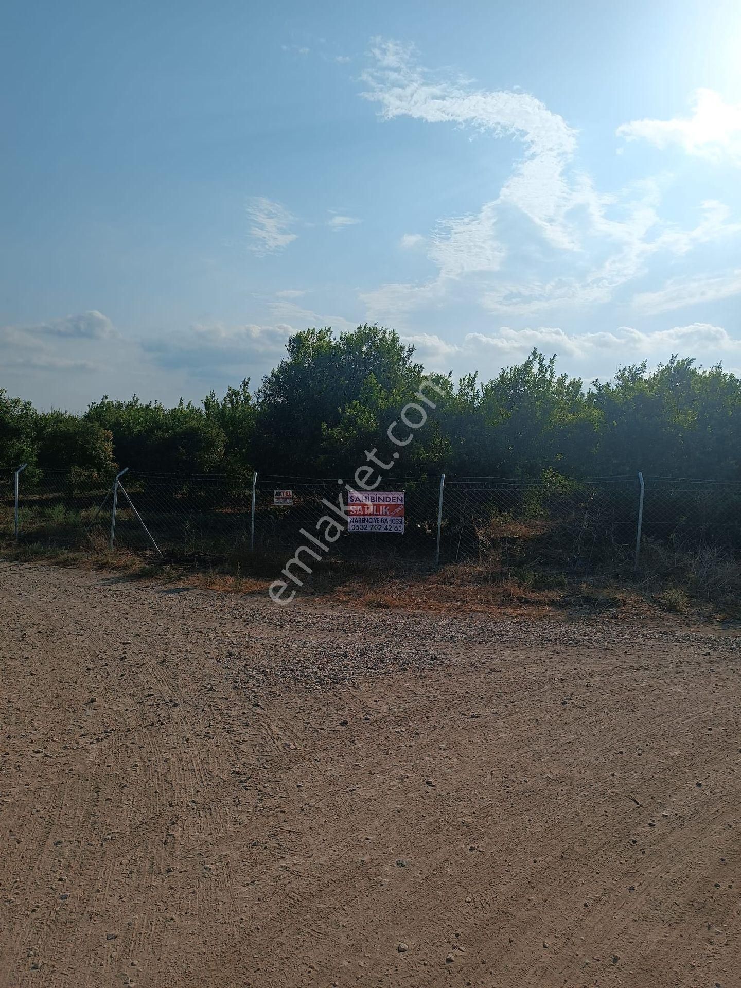 Sahibinden Yenice Yunacıkta Tek Tapu Narenciye - Görsel 6