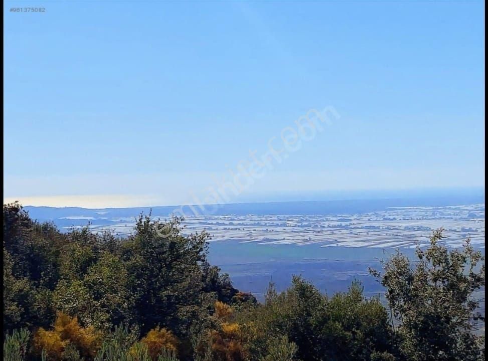 Kaş Üzümlü Satılık Arazi Antalya Kaş Üzümlü Mahallesi'nde Deniz Ve Göl Manzaralı Satılık Arsa