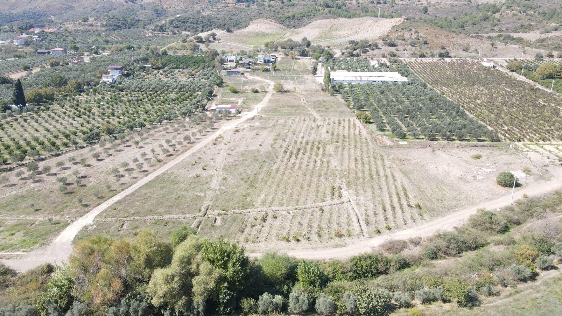 Seferihisar Kavakderede Satılık 243 M2 Tapulu Yatırımlık Bahçeler - Görsel 2