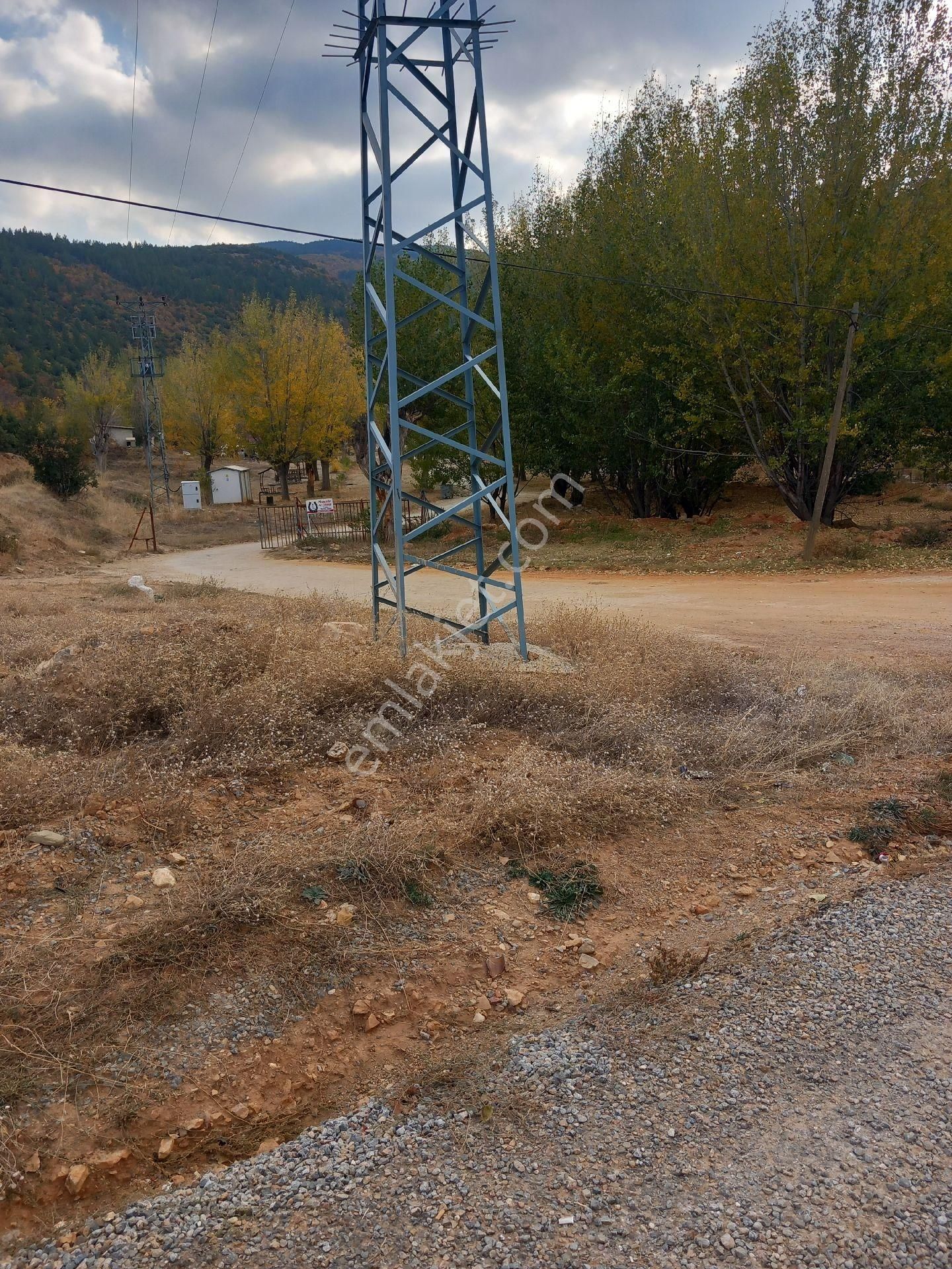 Cetın Emlaktan Satılık Engıllıde Meyve Bahcesı - Görsel 5