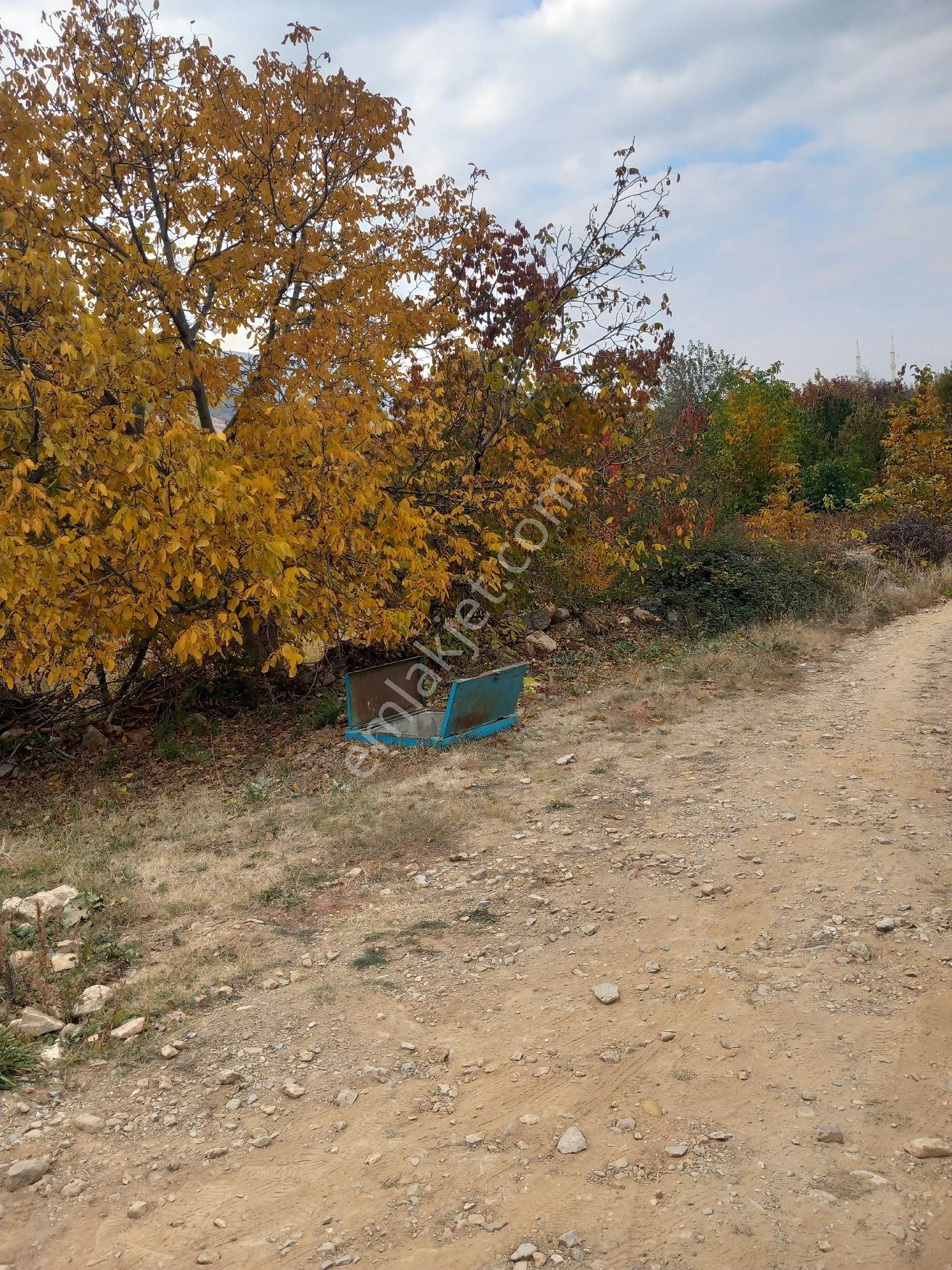 Cetın Emlaktan Satılık Engıllıde Meyve Bahcesı - Görsel 9