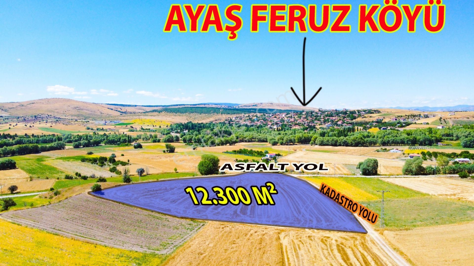 Ayaş Feruz Satılık Tarla  ANKARA AYAŞ FERUZ ÇİFT YOL CEPHELİ ASFALTA CEPHE TEK TAPU EMSALSİZ SATILIK TARLA