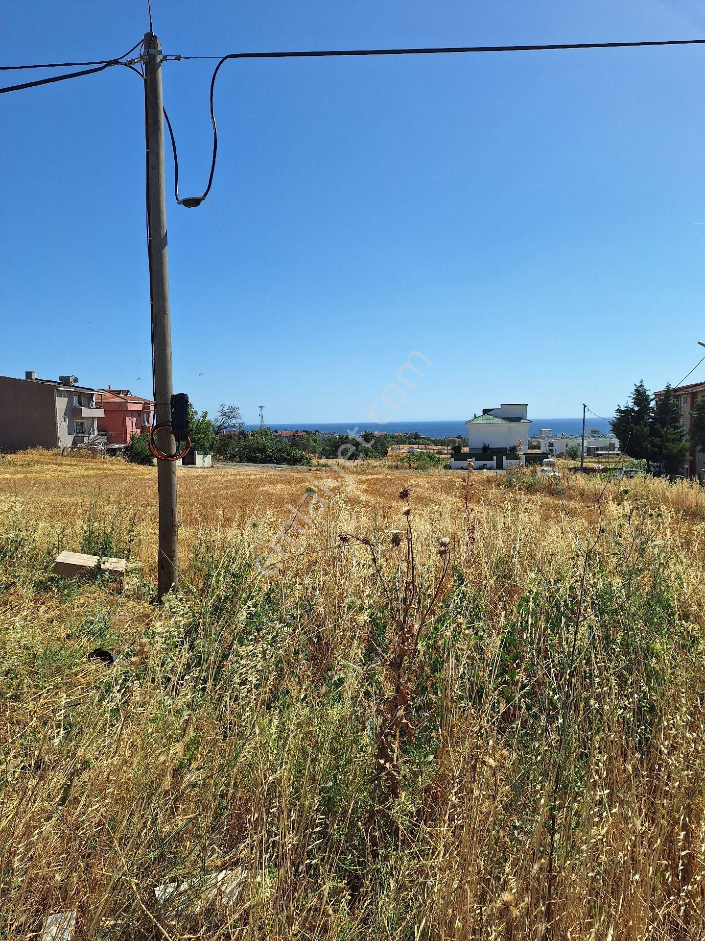 Celaliye De 325 M2 Arsa - Görsel 2