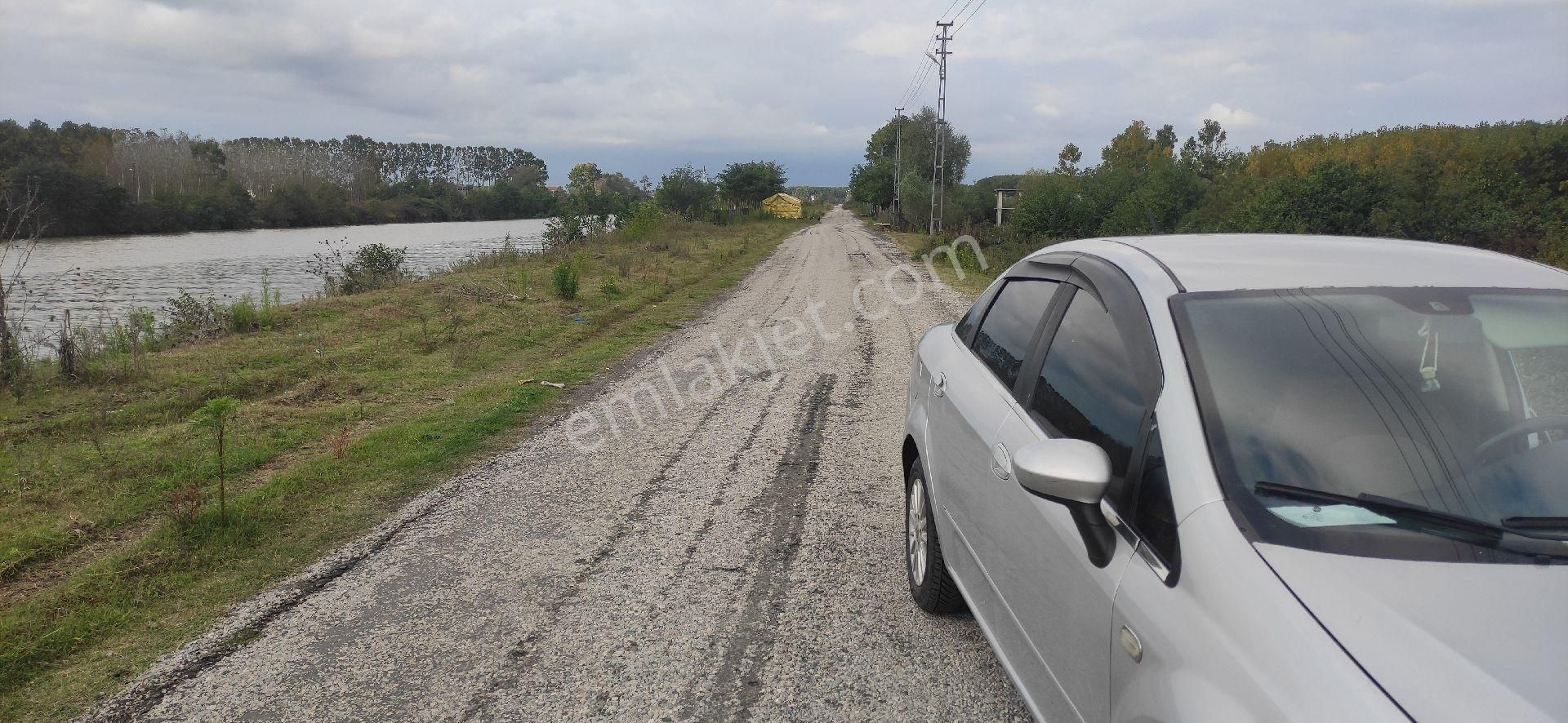 Terme Sivaslılar Satılık Tarla SAMSUN TERME CANGALLAR DA COK UCUZ TARLA