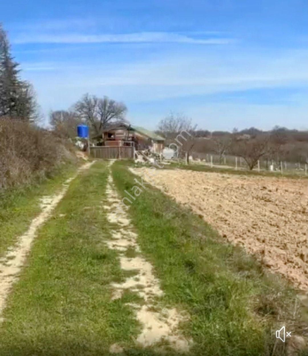 Vize Soğucak Köyü Satılık Tarla Vize Soğucak 1140m² Yüksek Konumda Doga Manzaralı Satılık Arazı