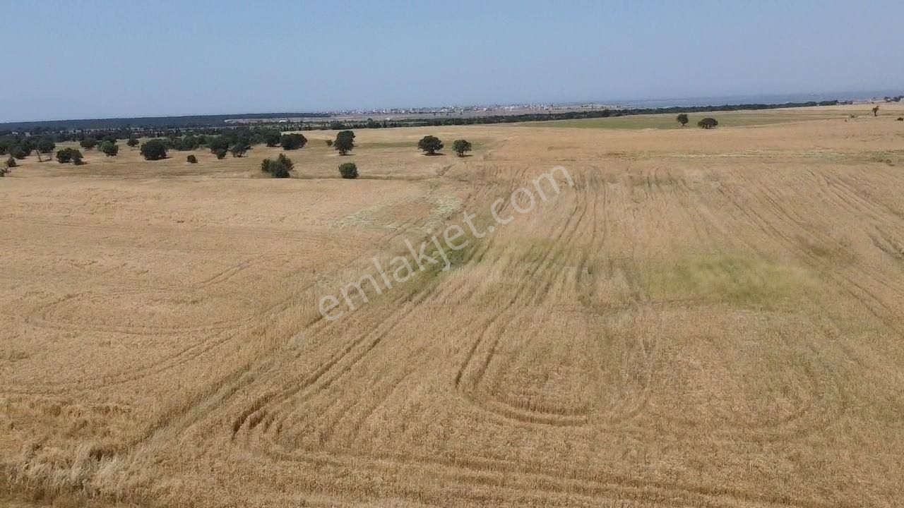 Enez Gaziömerbey Satılık Tarla EDİRNE ENEZ GAZİÖMER MERKEZ DE 14700 M2 TEK TAPU MÜSTAKİL 