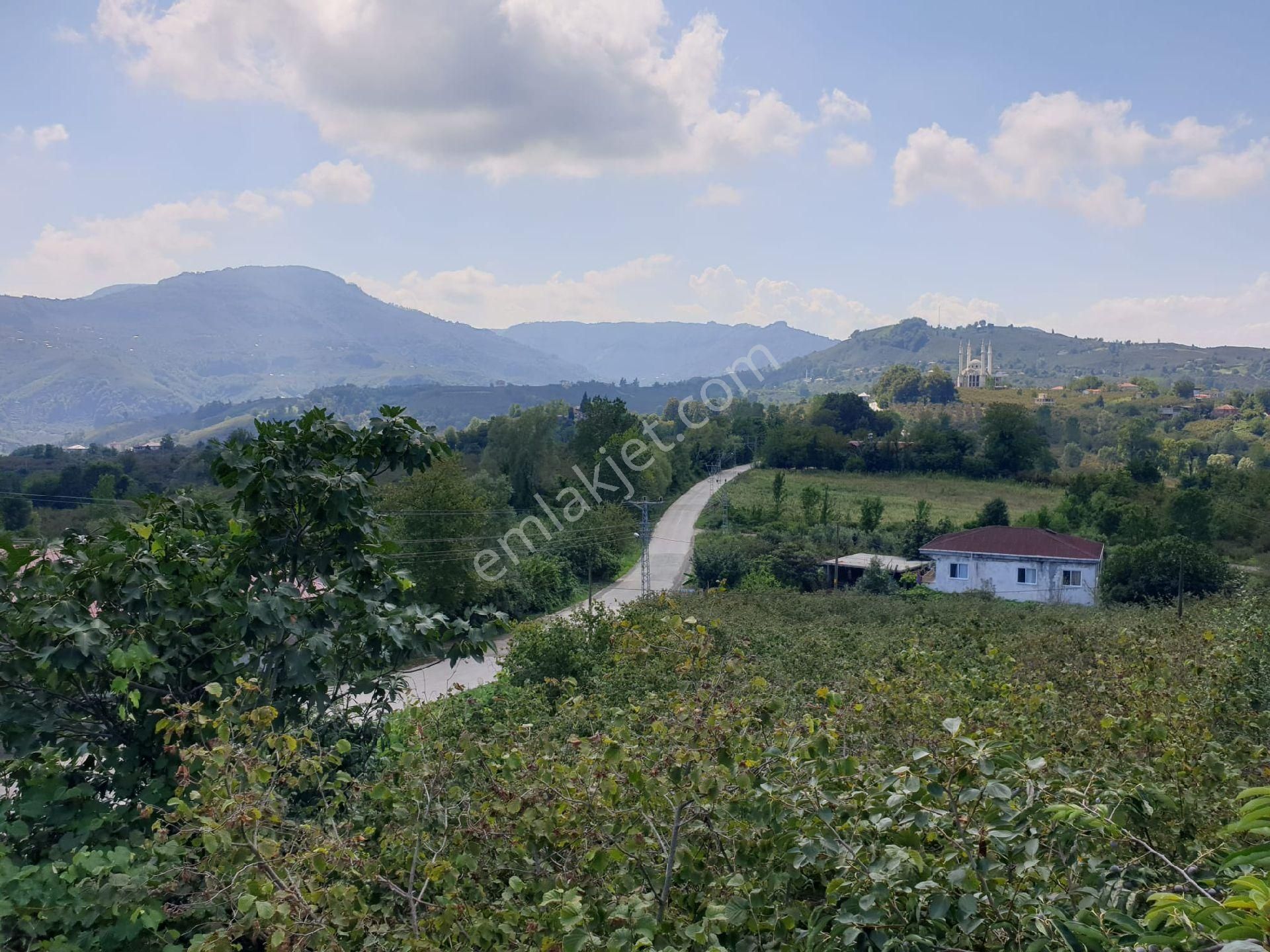 Çarşamba Gökçeçakmak Satılık Konut İmarlı Furkan Emlak'tan Gökçeçakmak Mah. 2 Katlı Ev 7000m2 Fındıklık Komple Satılık Tapulu Arsa