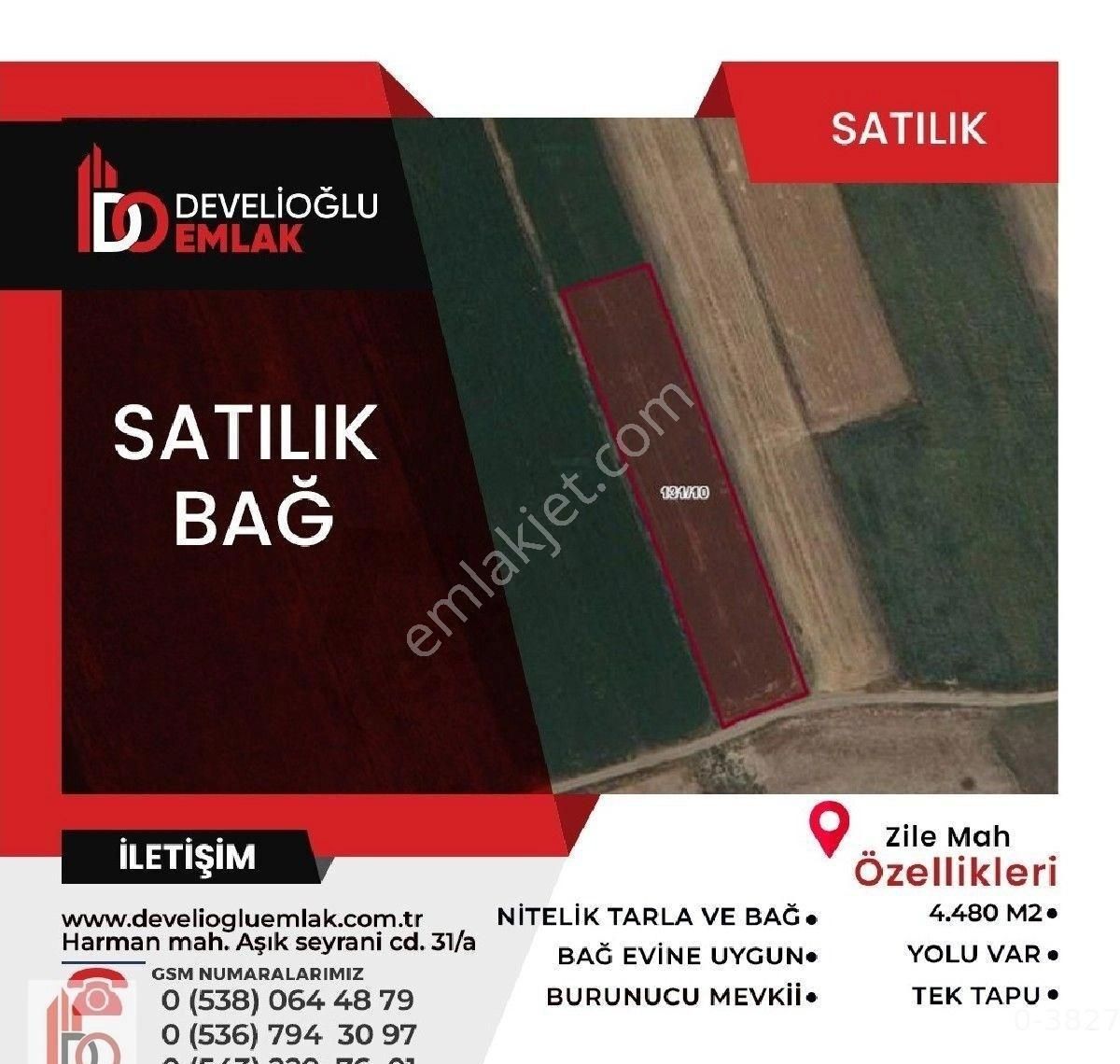 Develi Zile Satılık Bağ & Bahçe DEVELİOĞLU EMLAK--ZİLE MAHALLESİNDE SATILIK BAĞ