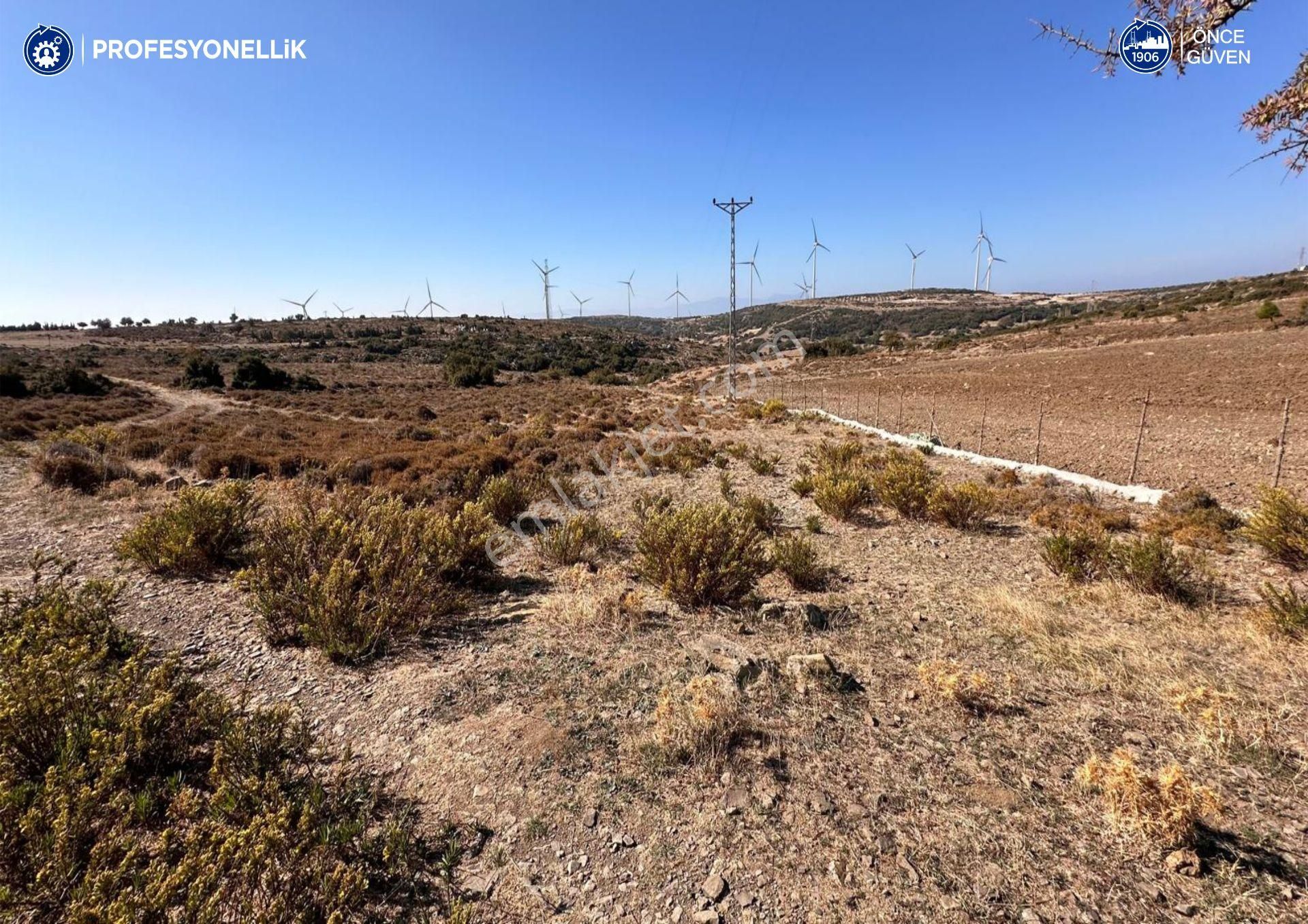 Karaburun Yayla Satılık Tarla  Karaburun Yayla Köyü'nde Yatırımlık Fırsat Arazi