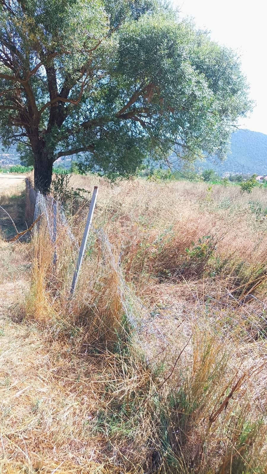 Burdur Ağlasun Hisarköy'de Köye Yakın Kadastro Yolu Olan Satılık Arazi - Görsel 3