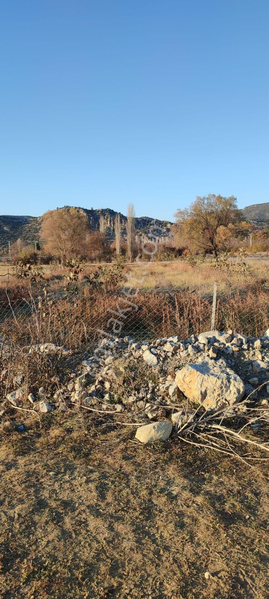 Burdur Ağlasun Hisarköy'de Köye Yakın Kadastro Yolu Olan Satılık Arazi