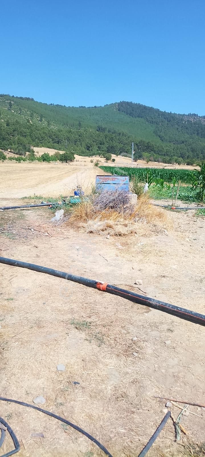 Burdur Ağlasun Hisarköy'de Köye Yakın Kadastro Yolu Olan Satılık Arazi - Görsel 2