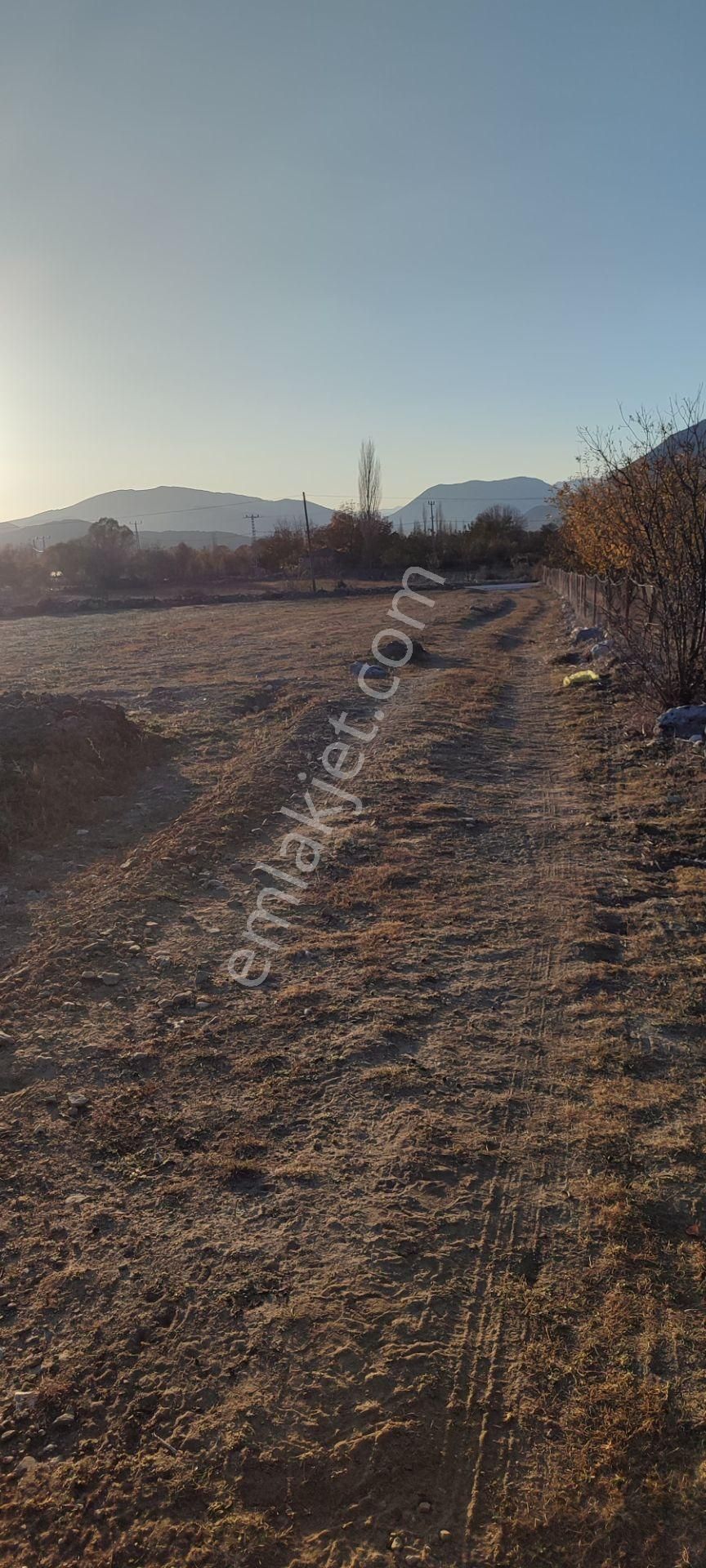 Burdur Ağlasun Hisarköy'de Köye Yakın Kadastro Yolu Olan Satılık Arazi - Görsel 5