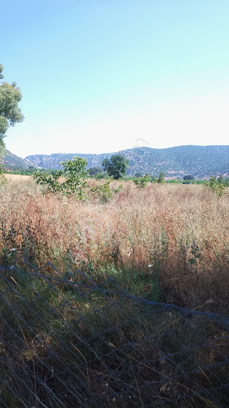 Burdur Ağlasun Hisarköy'de Köye Yakın Kadastro Yolu Olan Satılık Arazi - Görsel 9