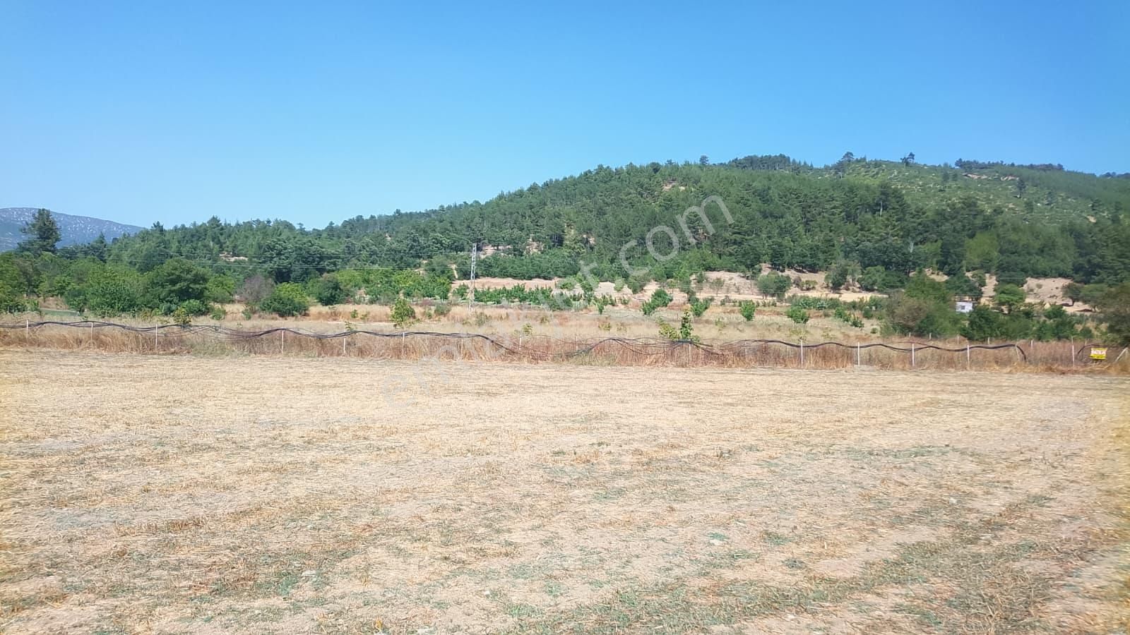 Burdur Ağlasun Hisarköy'de Satılık Köye Yakın Konumda Arazi