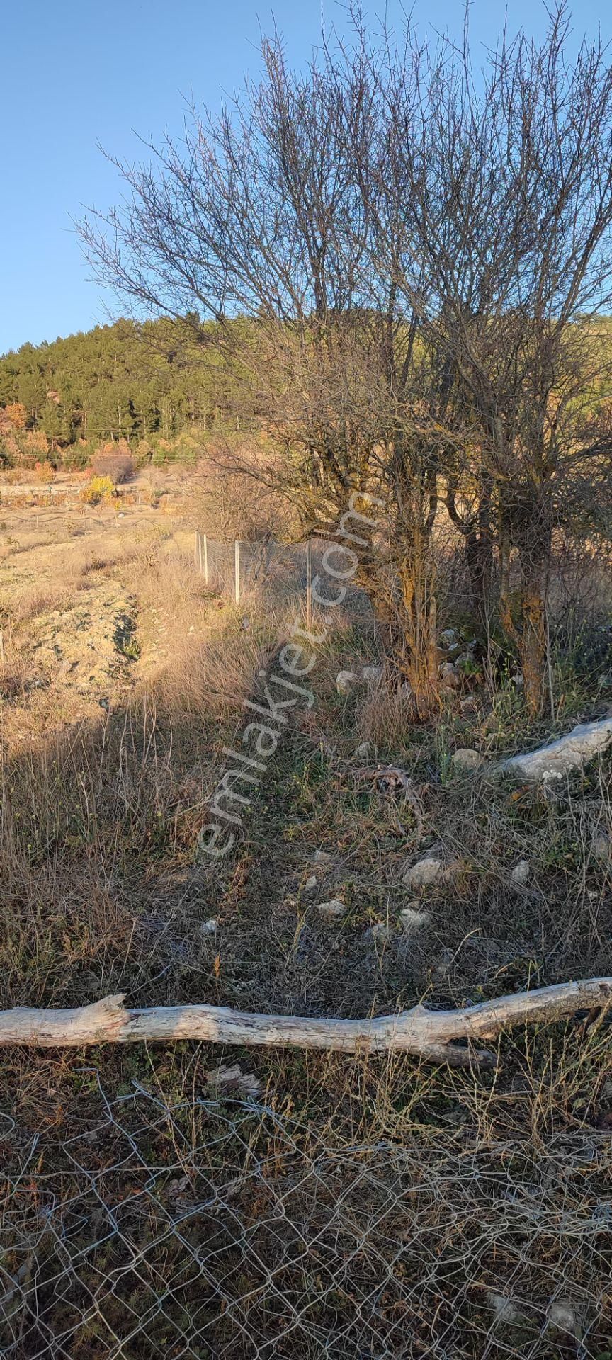 Burdur Ağlasun Hisarköy'de Satılık Köye Yakın Konumda Arazi - Görsel 7