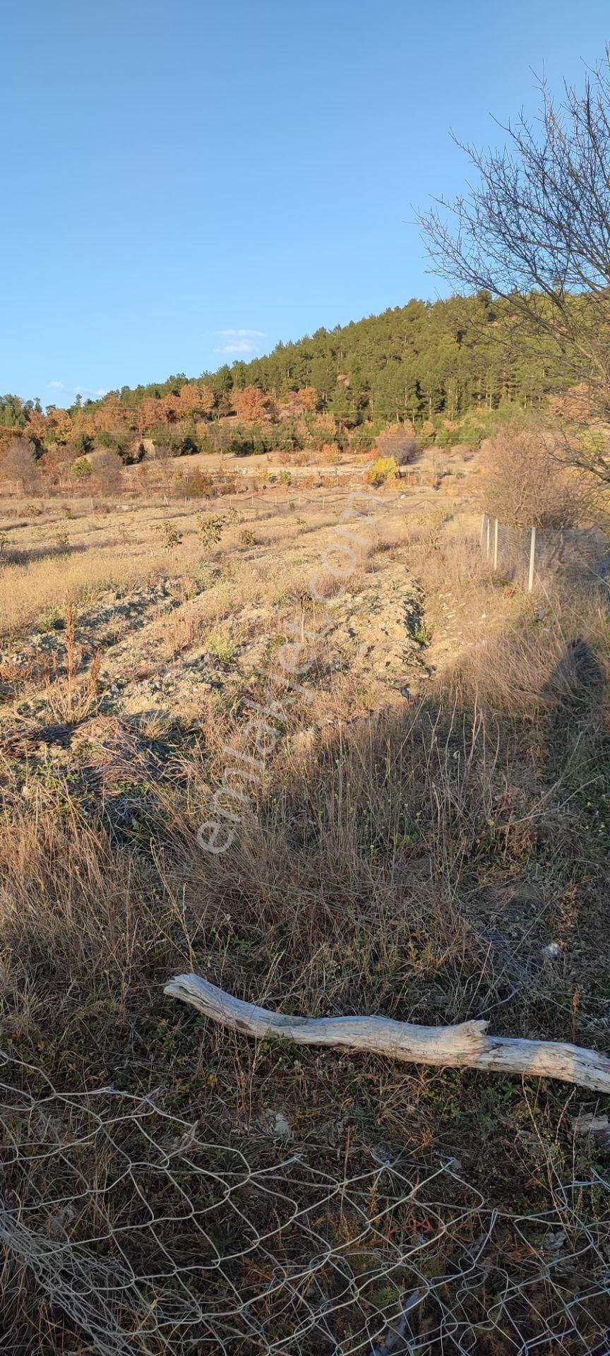 Burdur Ağlasun Hisarköy'de Satılık Köye Yakın Konumda Arazi - Görsel 6