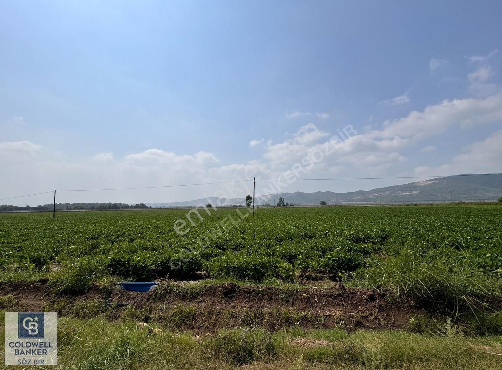 Ceyhan Mustafabeyli Satılık Tarla Ceyhan Mustafabeyli (Rifatiye) Mah.de 10.641 m2 Satılık Tarla