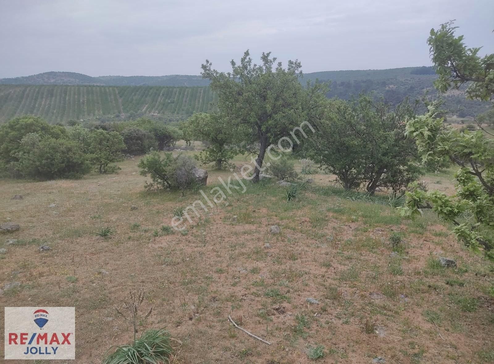 Bergama Avunduruk Satılık Tarla Bergama Avunduruk Kırtepe Mevkide 18.741 m2 Satılık Tarla