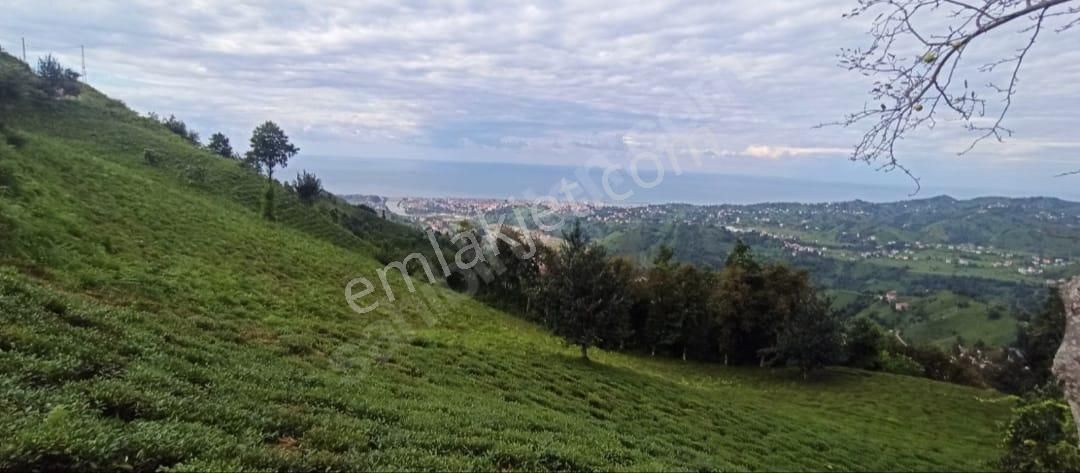 Bungalov, Turizm Tesisi Yapılacak 10 Numara Yer